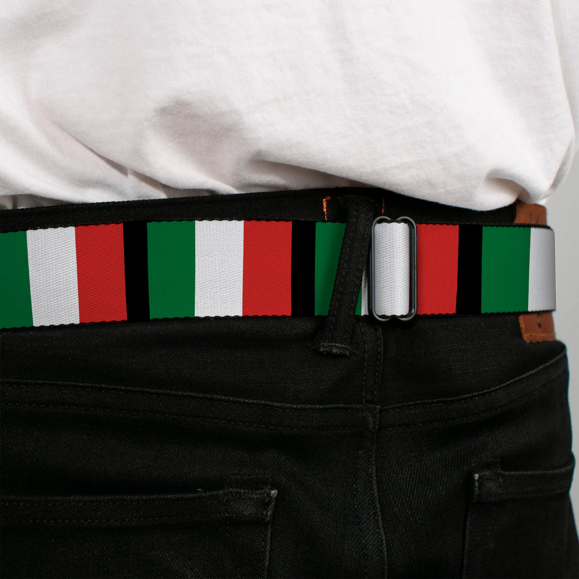BD Wings Logo CLOSE-UP Full Color Black Silver Seatbelt Belt - Italy Flags Webbing Seatbelt Belts Buckle-Down