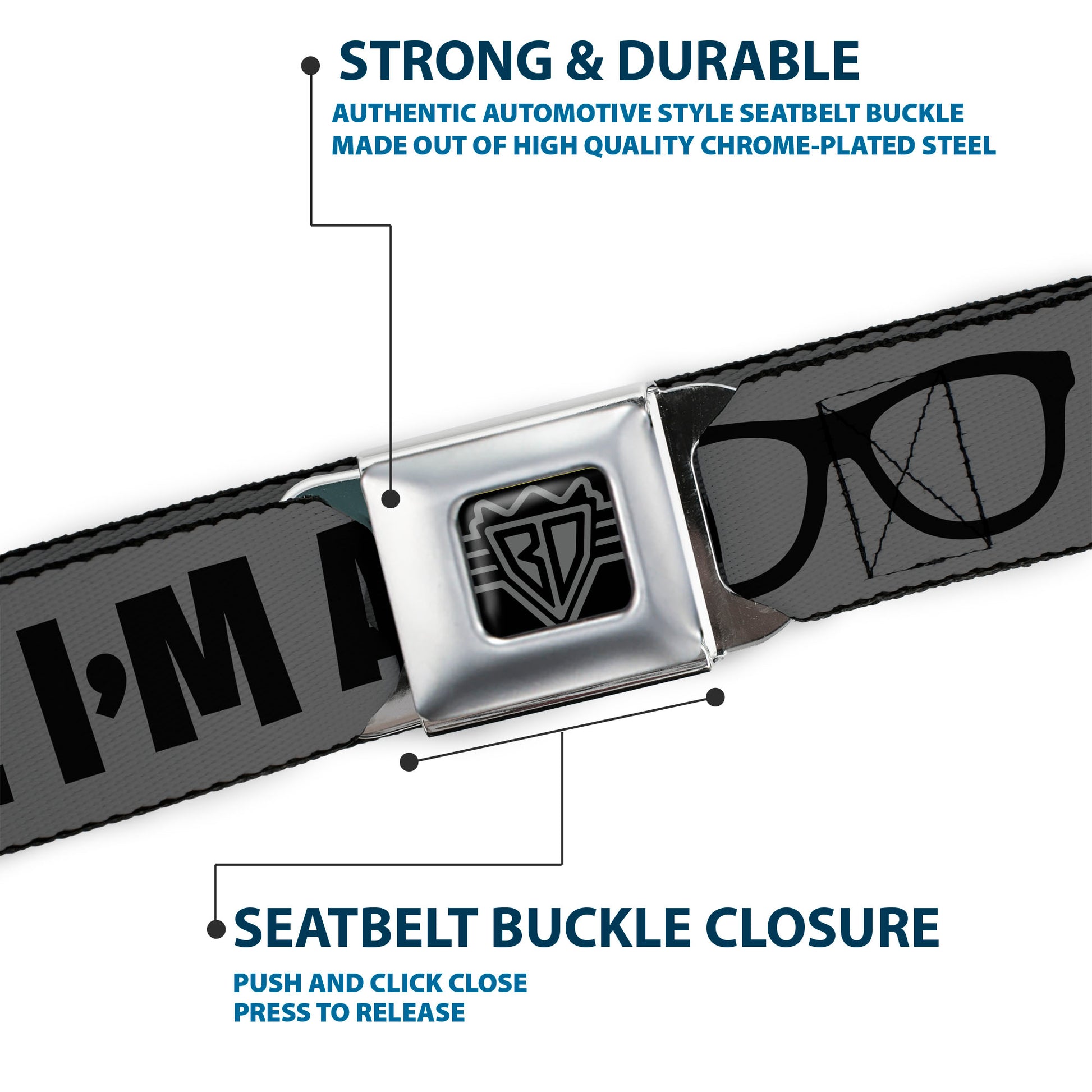 BD Wings Logo CLOSE-UP Full Color Black Silver Seatbelt Belt - I'M A GEEK/Glasses Gray/Black Webbing Seatbelt Belts Buckle-Down