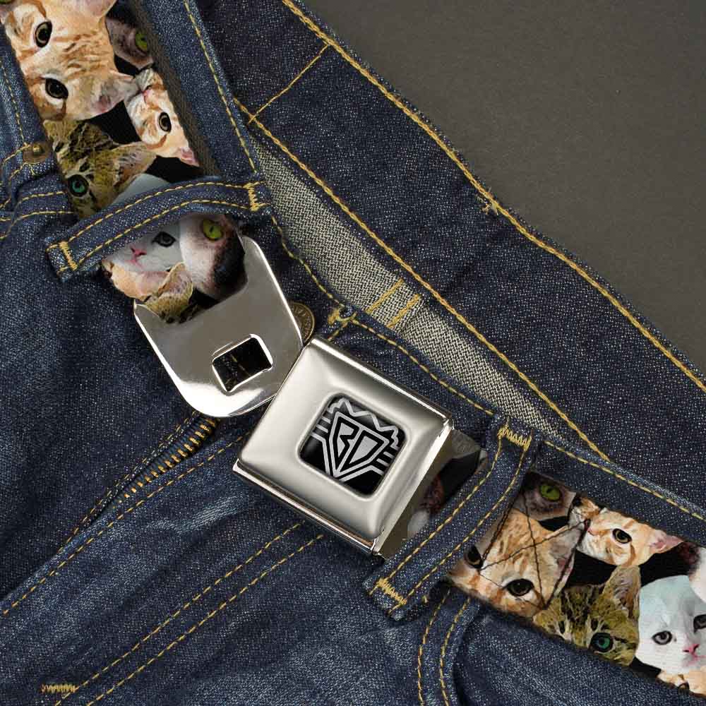 BD Wings Logo CLOSE-UP Full Color Black Silver Seatbelt Belt - Kitten Faces Scattered Black Webbing Seatbelt Belts Buckle-Down