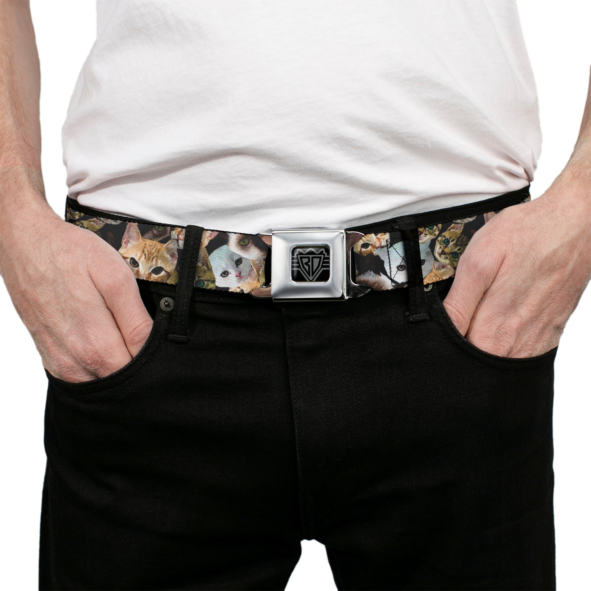 BD Wings Logo CLOSE-UP Full Color Black Silver Seatbelt Belt - Kitten Faces Scattered Black Webbing Seatbelt Belts Buckle-Down