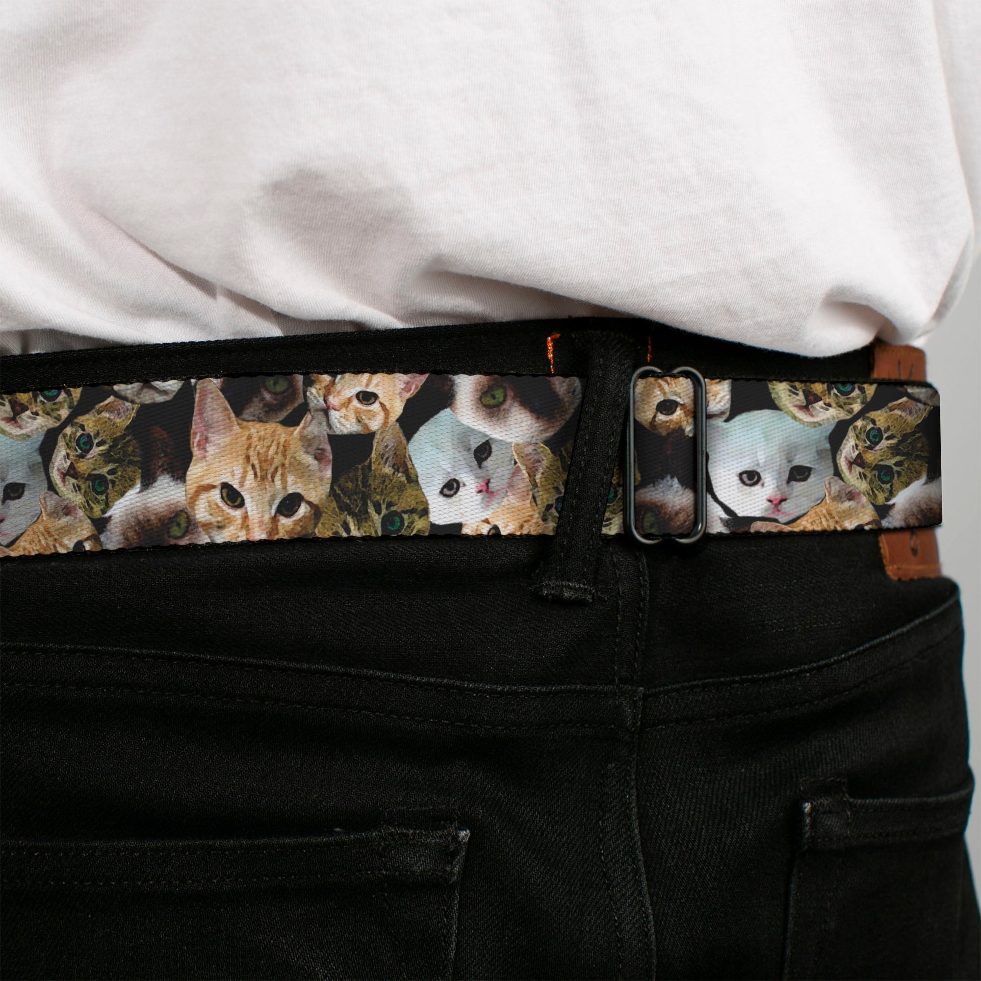 BD Wings Logo CLOSE-UP Full Color Black Silver Seatbelt Belt - Kitten Faces Scattered Black Webbing Seatbelt Belts Buckle-Down