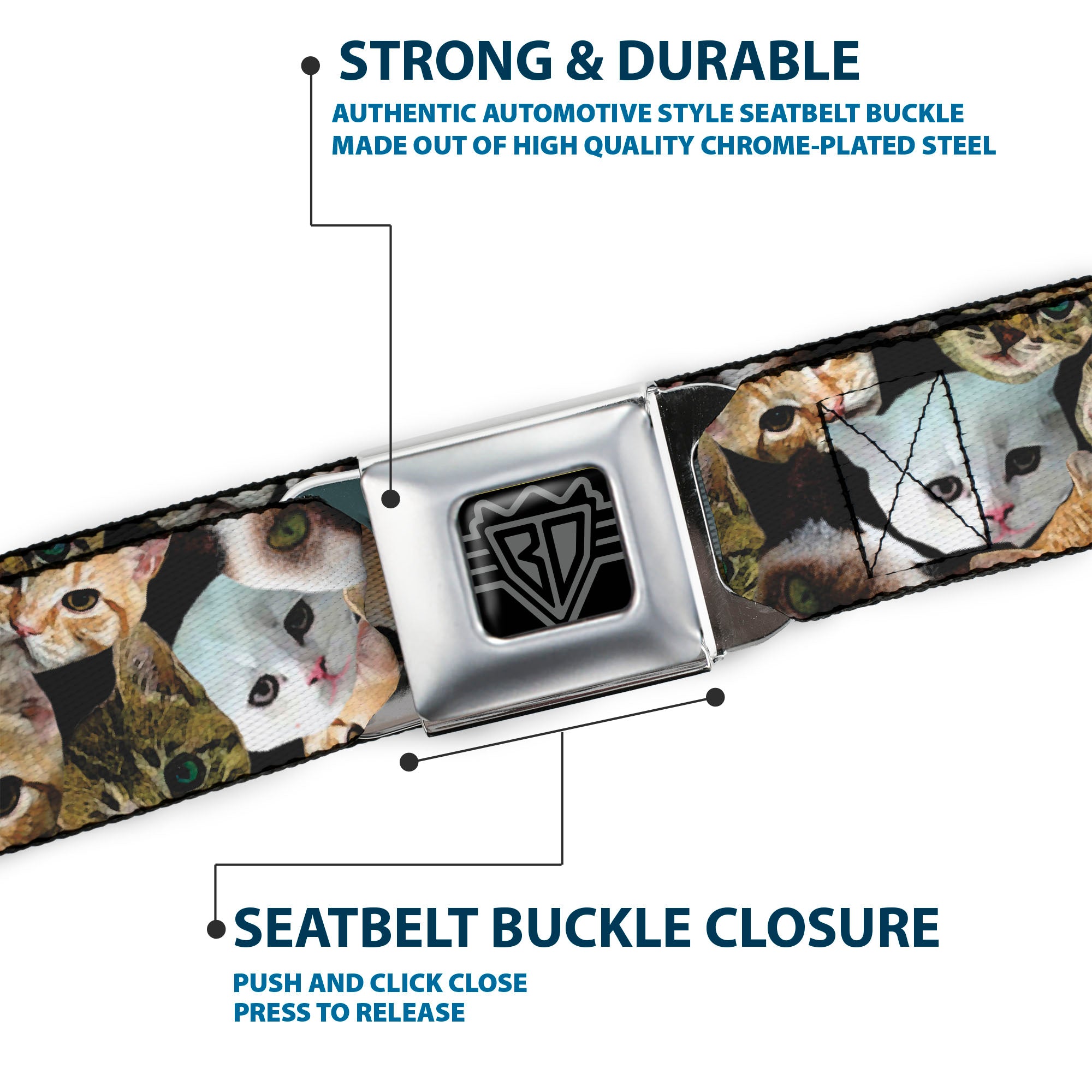 BD Wings Logo CLOSE-UP Full Color Black Silver Seatbelt Belt - Kitten Faces Scattered Black Webbing Seatbelt Belts Buckle-Down