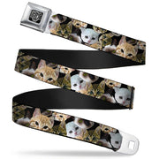 BD Wings Logo CLOSE-UP Full Color Black Silver Seatbelt Belt - Kitten Faces Scattered Black Webbing Seatbelt Belts Buckle-Down
