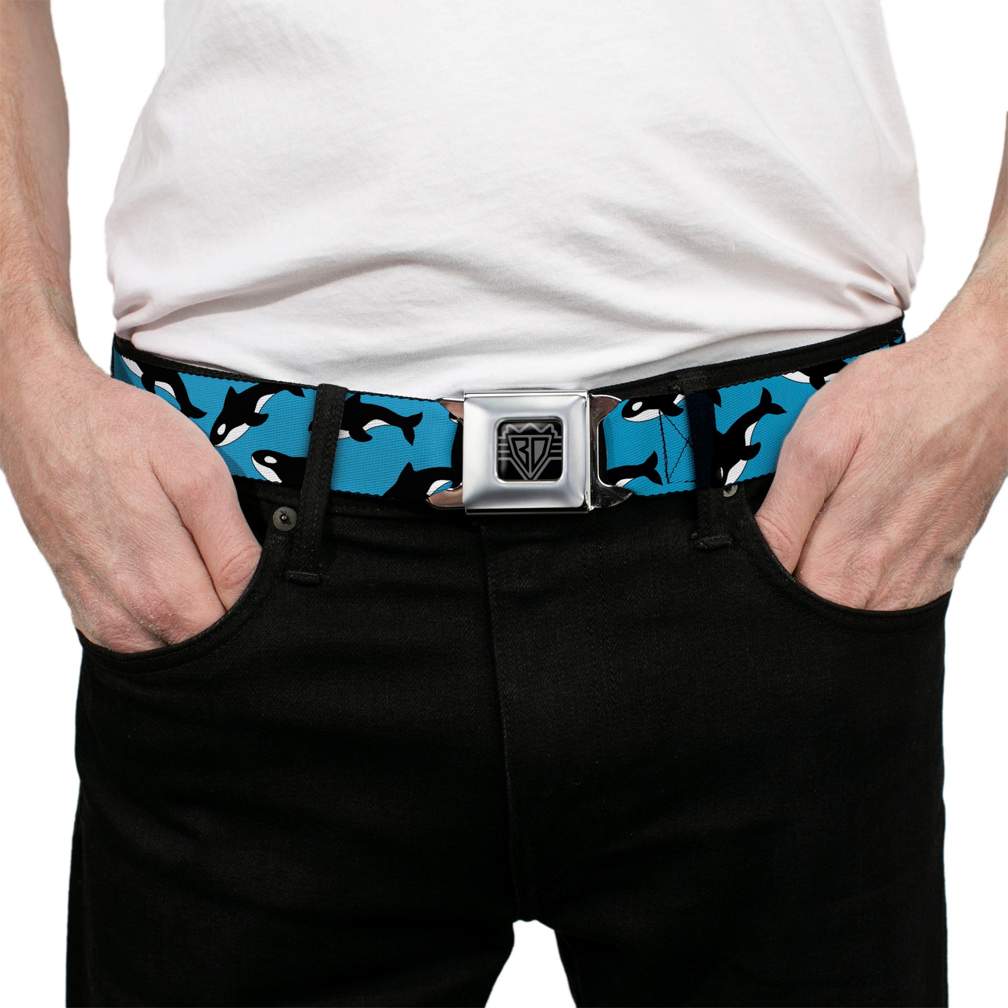 BD Wings Logo CLOSE-UP Full Color Black Silver Seatbelt Belt - Killer Whales Scattered Blue/Black/White Webbing Seatbelt Belts Buckle-Down