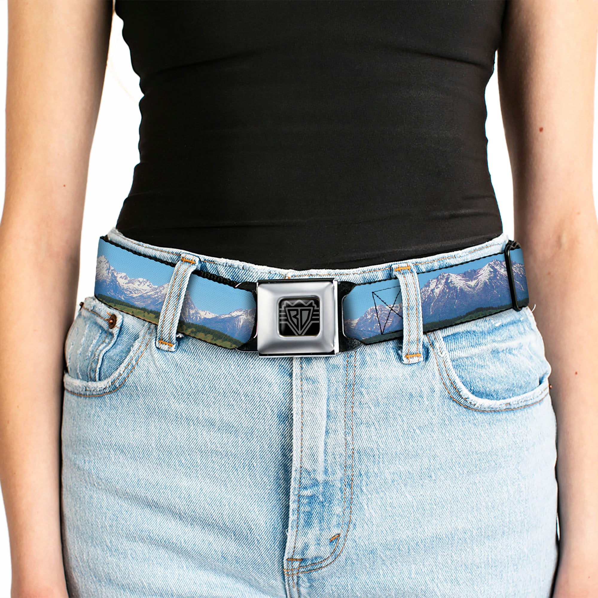 BD Wings Logo CLOSE-UP Full Color Black Silver Seatbelt Belt - Landscape Snowy Mountains Webbing Seatbelt Belts Buckle-Down