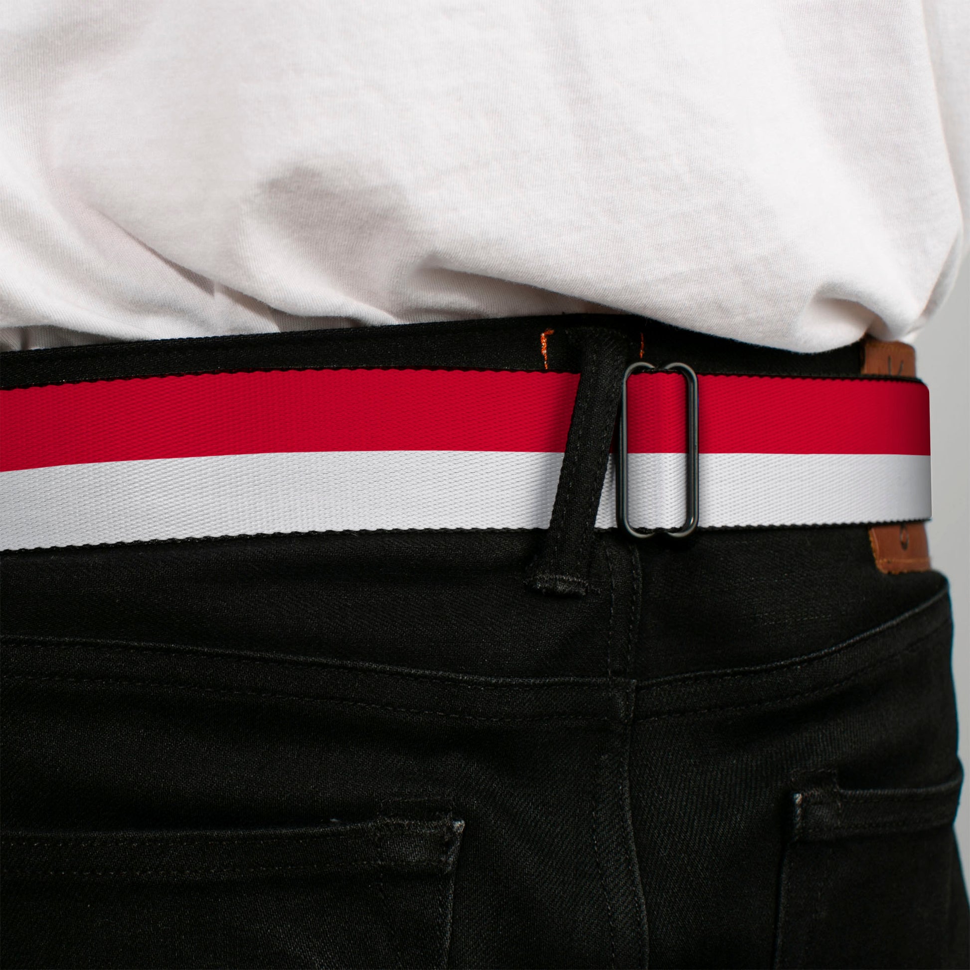 BD Wings Logo CLOSE-UP Full Color Black Silver Seatbelt Belt - North Carolina Flag Stripe Red/White Webbing Seatbelt Belts Buckle-Down