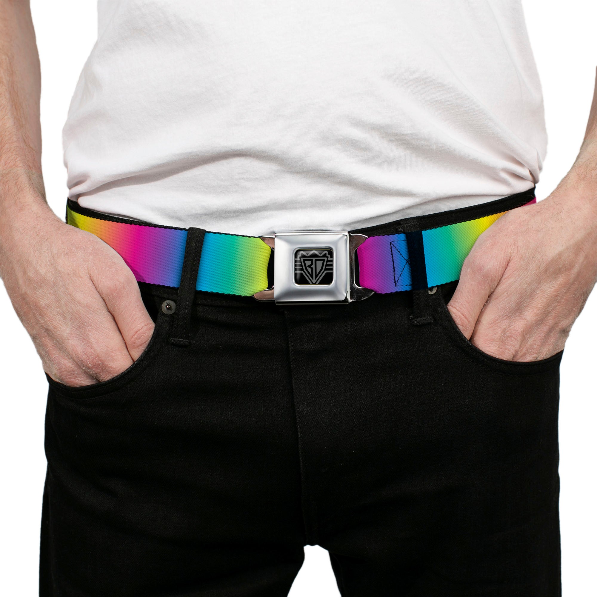 BD Wings Logo CLOSE-UP Full Color Black Silver Seatbelt Belt - Rainbow Ombre Webbing Seatbelt Belts Buckle-Down