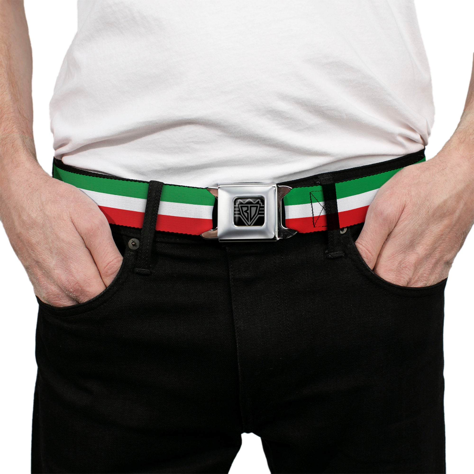 BD Wings Logo CLOSE-UP Full Color Black Silver Seatbelt Belt - Stripes Green/White/Red Webbing Seatbelt Belts Buckle-Down