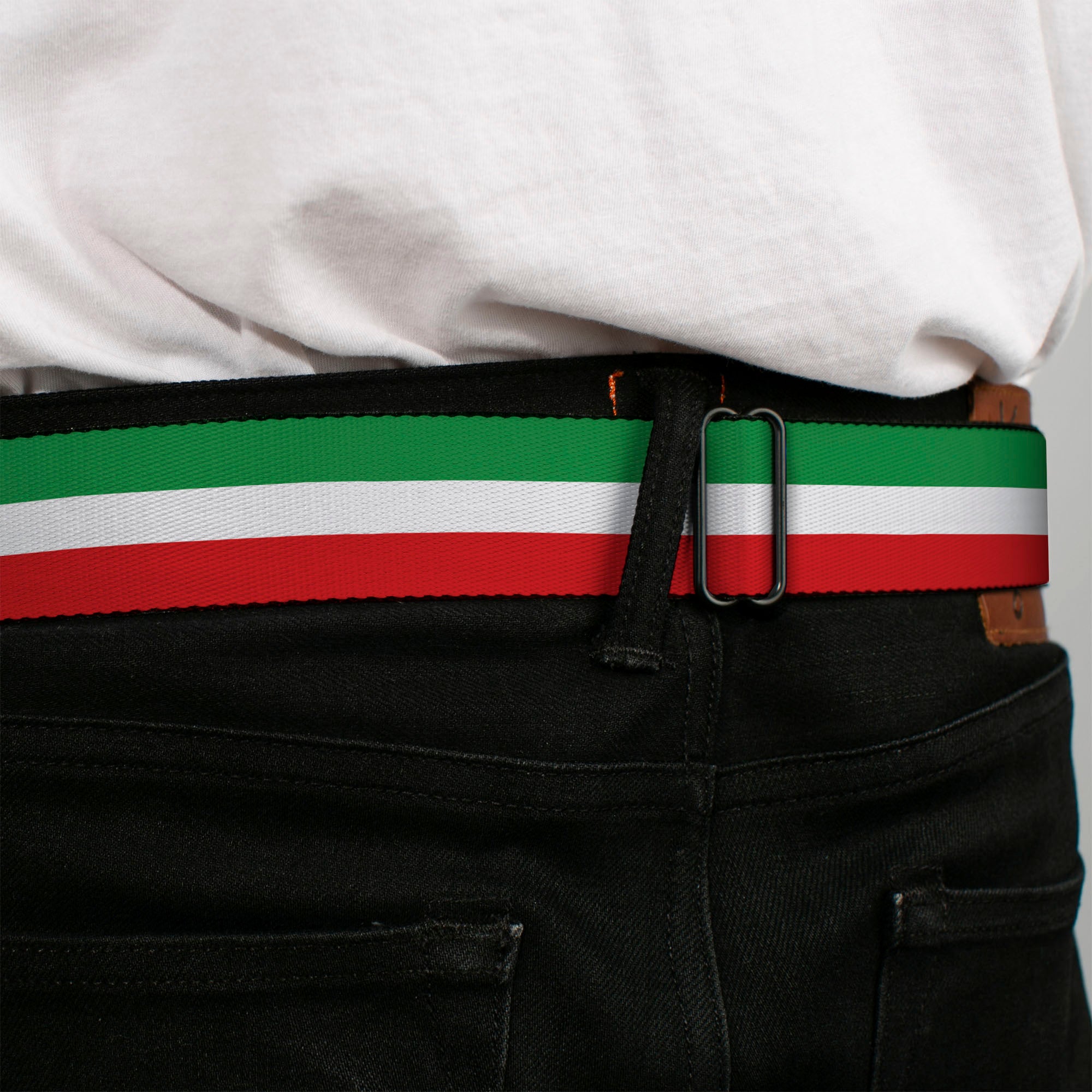 BD Wings Logo CLOSE-UP Full Color Black Silver Seatbelt Belt - Stripes Green/White/Red Webbing Seatbelt Belts Buckle-Down