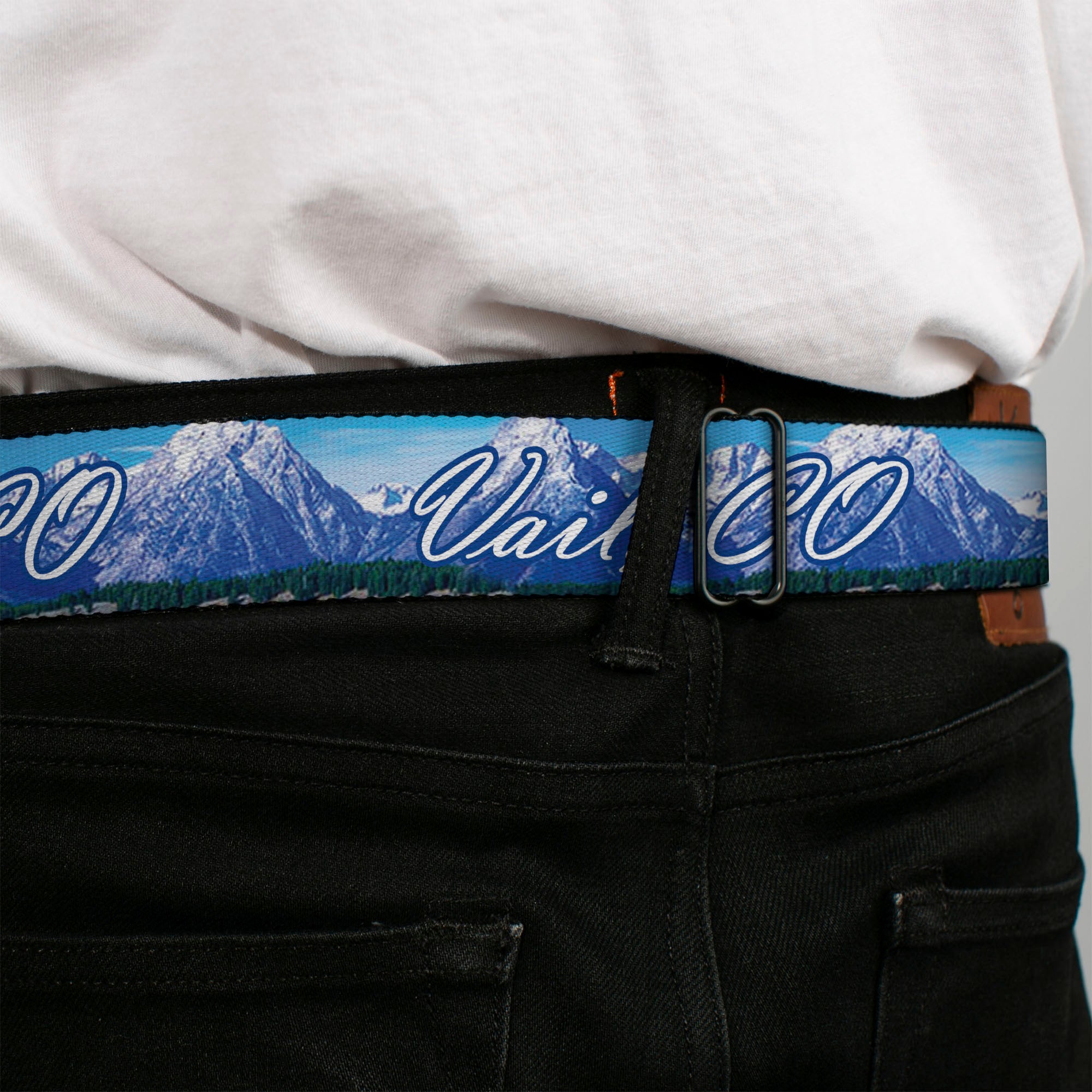 BD Wings Logo CLOSE-UP Full Color Black Silver Seatbelt Belt - Vivid VAIL, CO Script/Mountain Landscape Blues/White Webbing Seatbelt Belts Buckle-Down