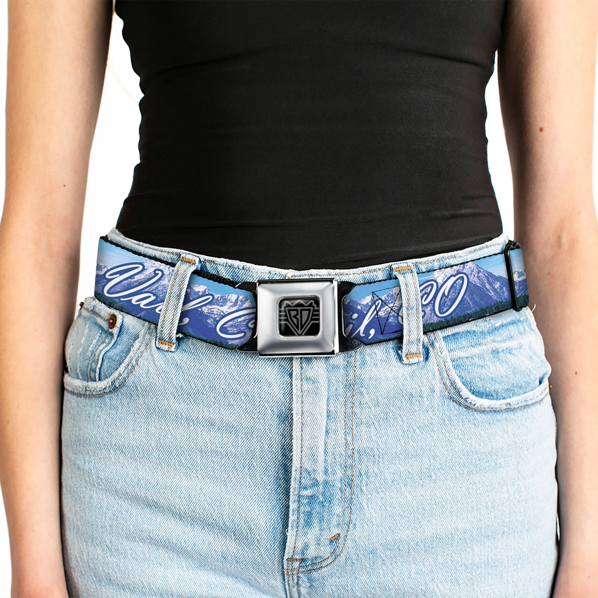 BD Wings Logo CLOSE-UP Full Color Black Silver Seatbelt Belt - Vivid VAIL, CO Script/Mountain Landscape Blues/White Webbing Seatbelt Belts Buckle-Down