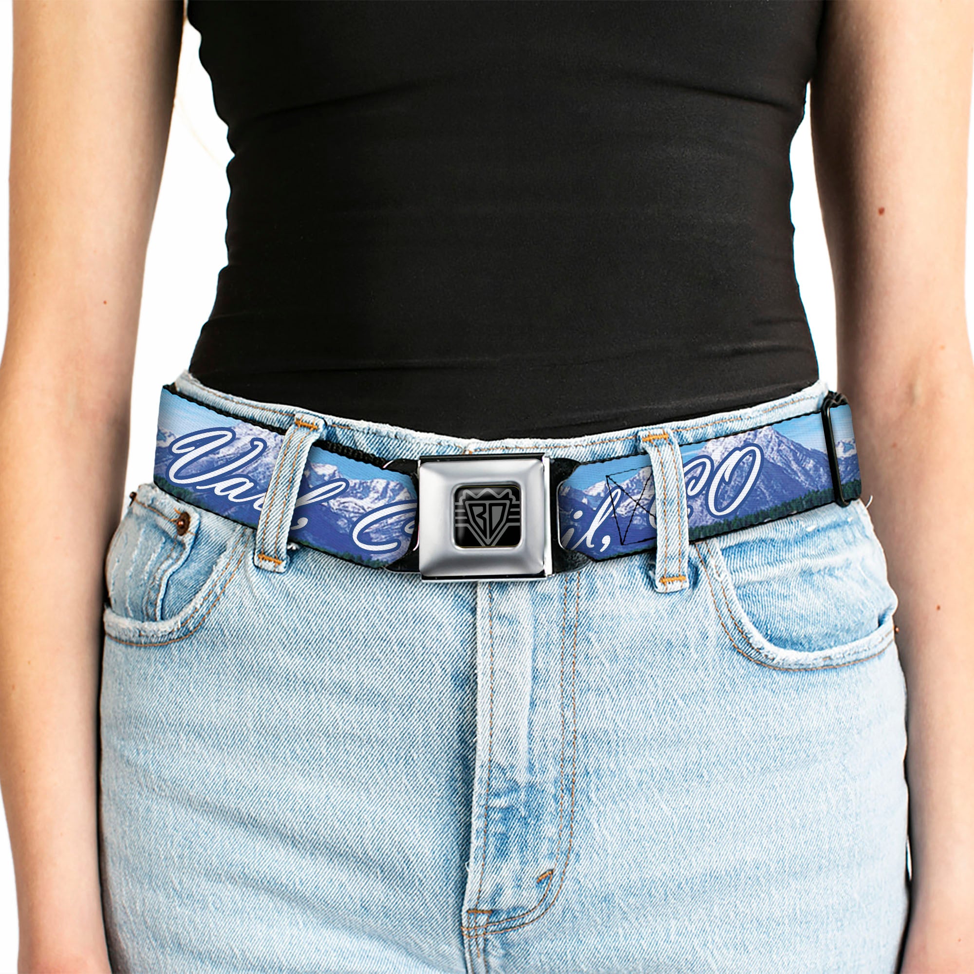 BD Wings Logo CLOSE-UP Full Color Black Silver Seatbelt Belt - Vivid VAIL, CO Script/Mountain Landscape Blues/White Webbing Seatbelt Belts Buckle-Down