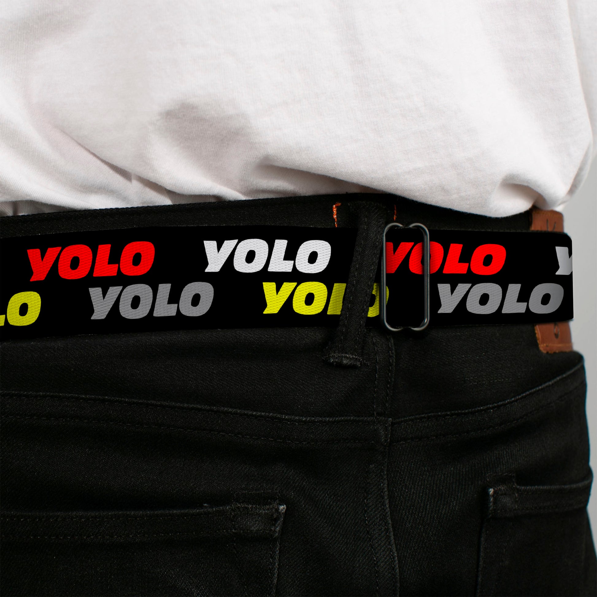 BD Wings Logo CLOSE-UP Full Color Black Silver Seatbelt Belt - YOLO2 Black/Red/White/Gray/Yellow Webbing Seatbelt Belts Buckle-Down