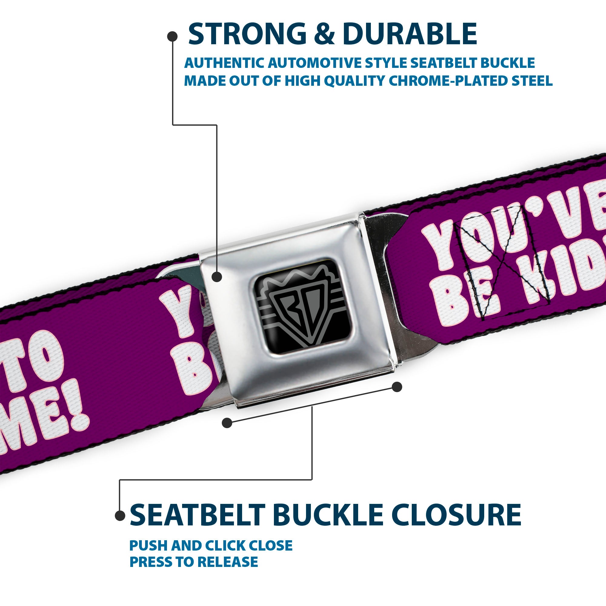 BD Wings Logo CLOSE-UP Full Color Black Silver Seatbelt Belt - YOU'VE GOT TO BE KIDDING ME! Purple/White Webbing Seatbelt Belts Buckle-Down