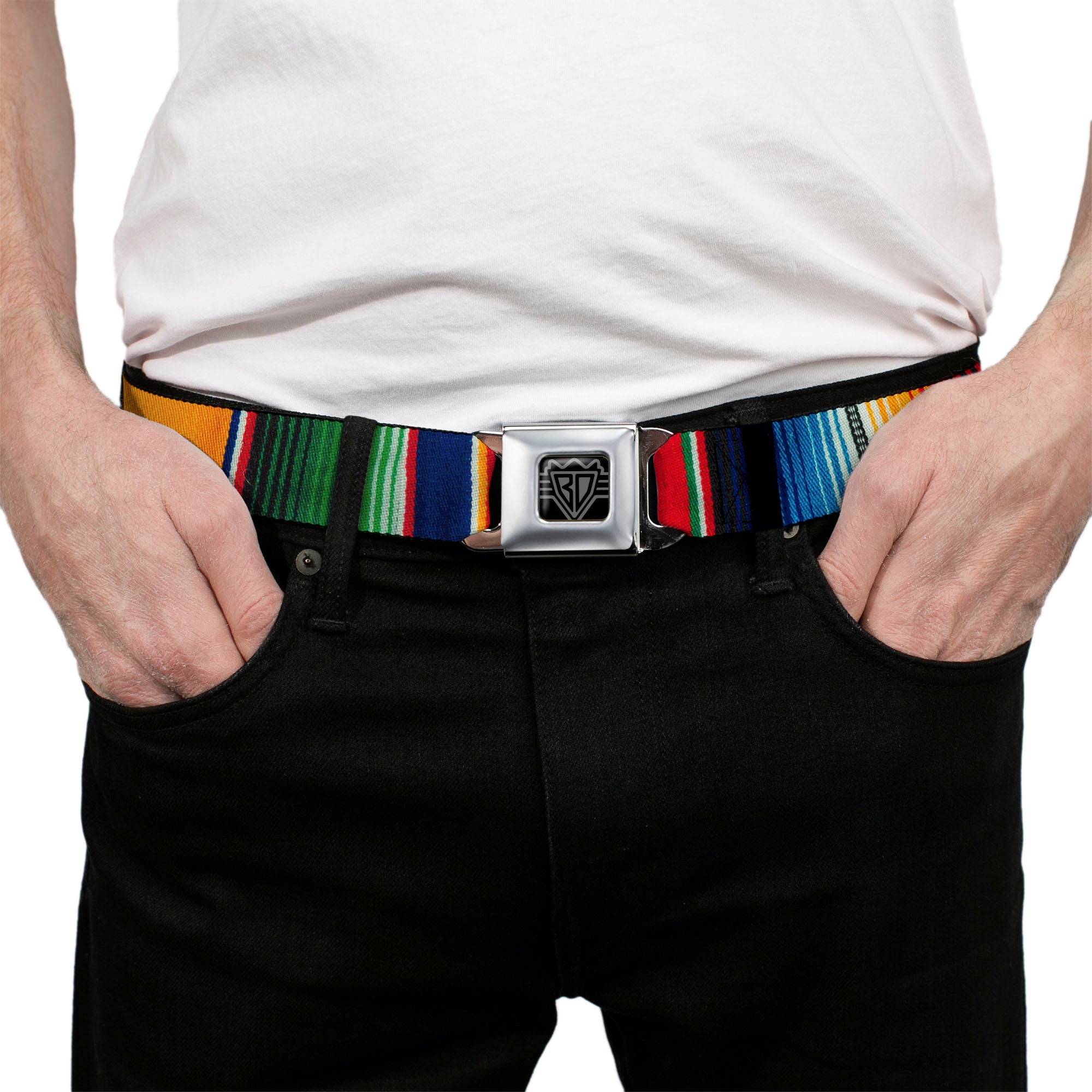 BD Wings Logo CLOSE-UP Full Color Black Silver Seatbelt Belt - Zarape2 Vertical Multi Color Stripe Webbing Seatbelt Belts Buckle-Down