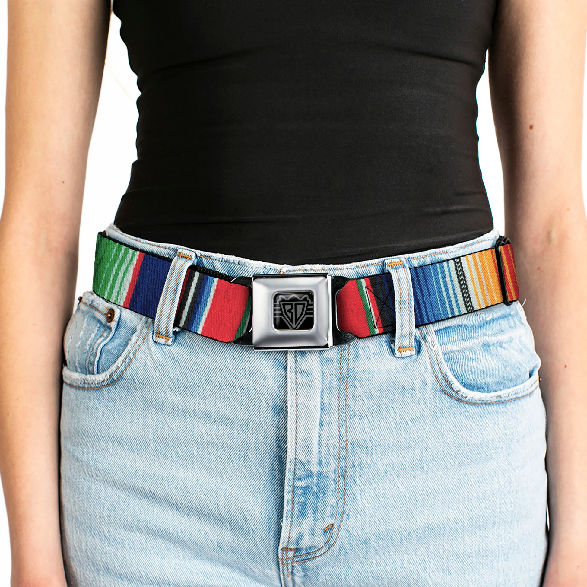 BD Wings Logo CLOSE-UP Full Color Black Silver Seatbelt Belt - Zarape2 Vertical Multi Color Stripe Webbing Seatbelt Belts Buckle-Down