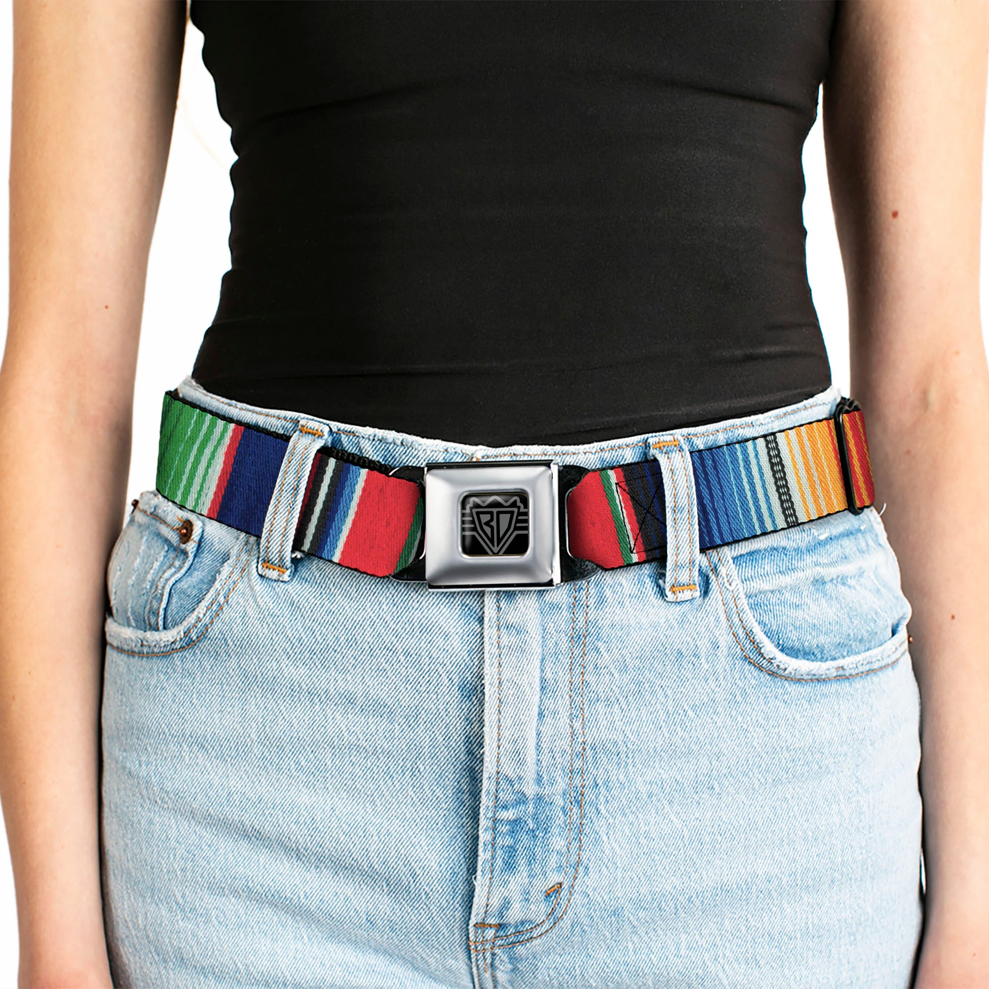 BD Wings Logo CLOSE-UP Full Color Black Silver Seatbelt Belt - Zarape2 Vertical Multi Color Stripe Webbing Seatbelt Belts Buckle-Down