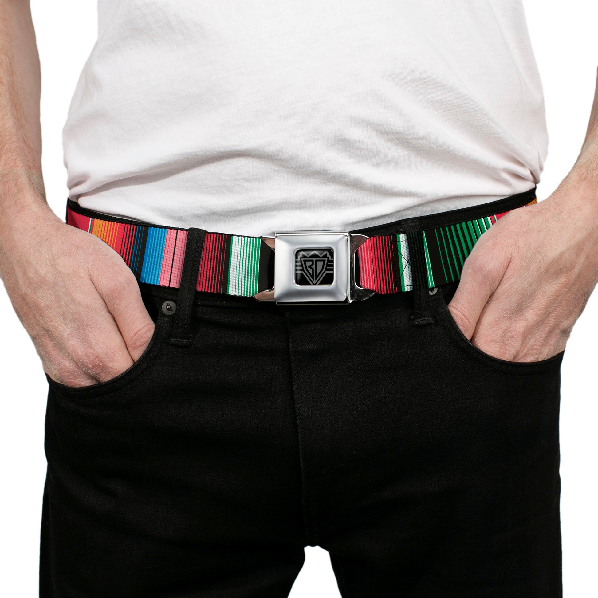 BD Wings Logo CLOSE-UP Full Color Black Silver Seatbelt Belt - Zarape5 Vertical Multi Color Stripe Webbing Seatbelt Belts Buckle-Down