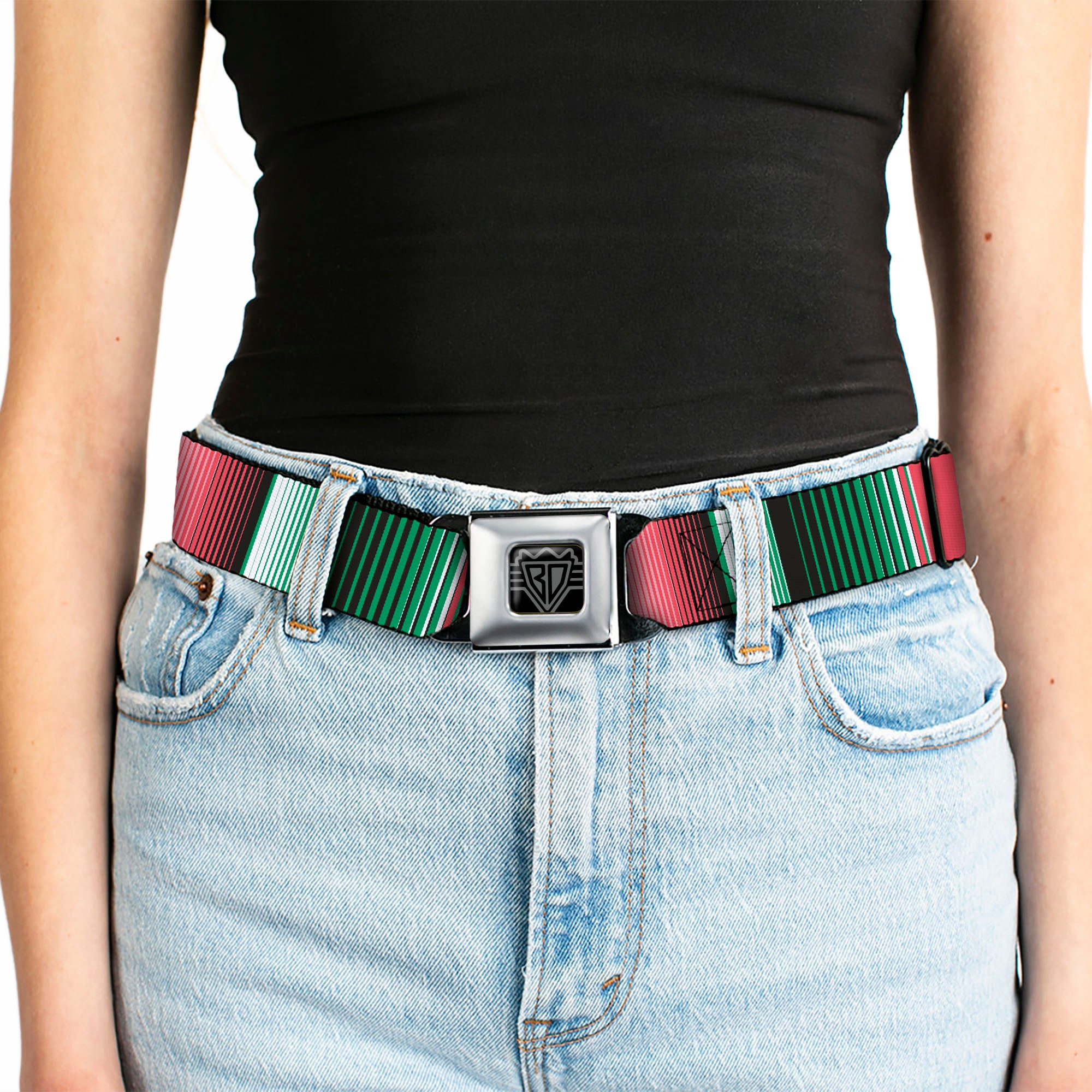 BD Wings Logo CLOSE-UP Full Color Black Silver Seatbelt Belt - Zarape5 Vertical Multi Color Stripe Webbing Seatbelt Belts Buckle-Down