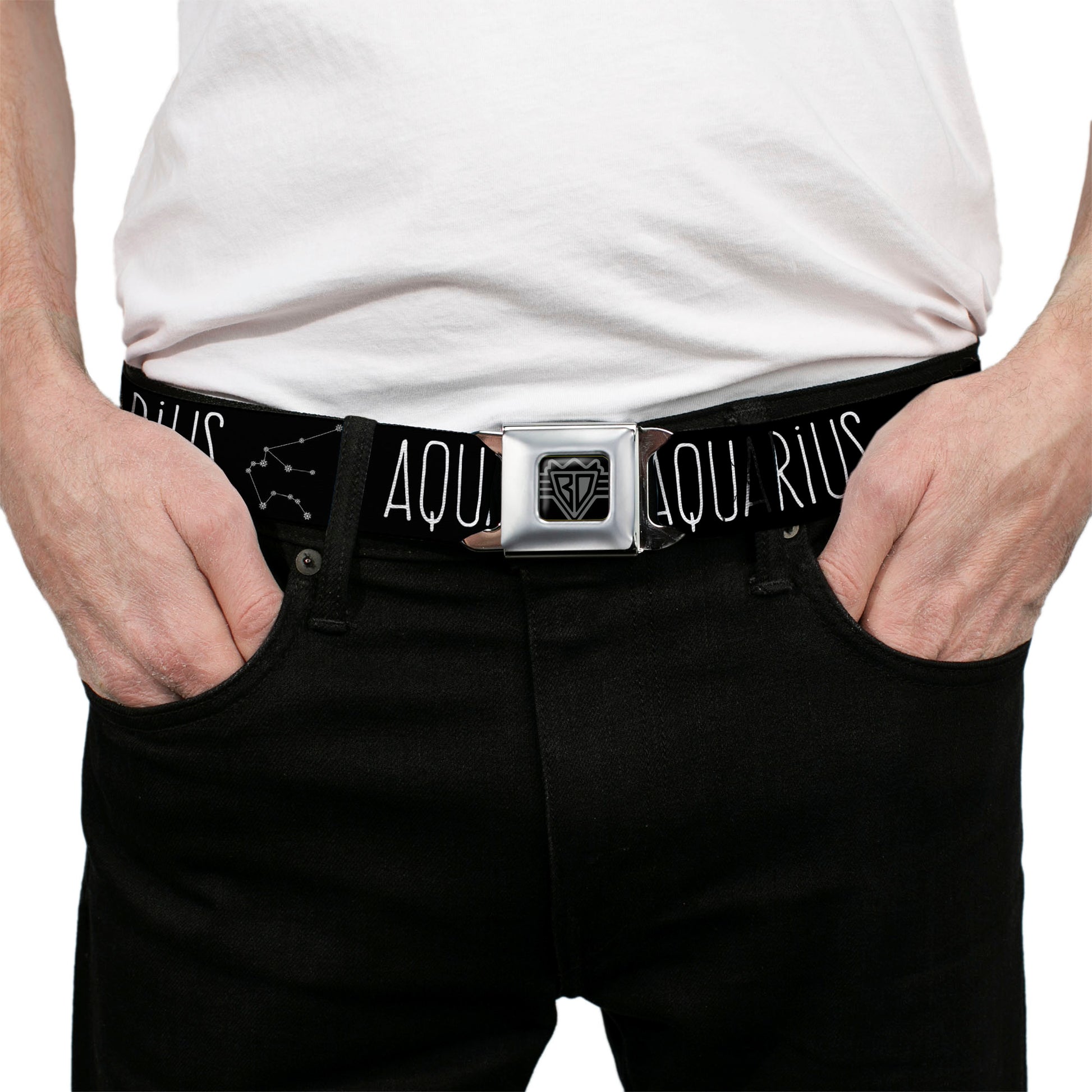 BD Wings Logo CLOSE-UP Full Color Black Silver Seatbelt Belt - Zodiac AQUARIUS/Constellation Black/White Webbing Seatbelt Belts Buckle-Down