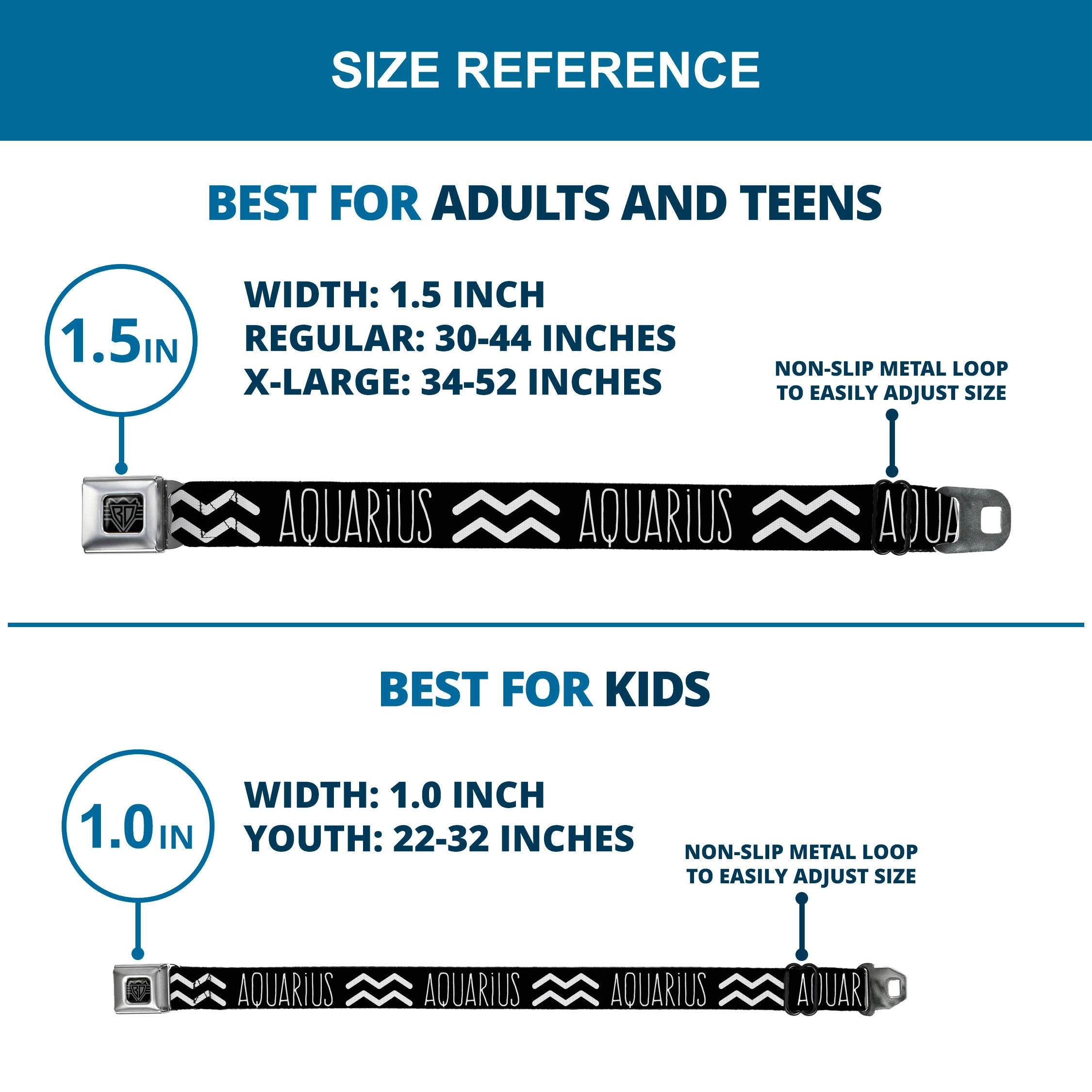BD Wings Logo CLOSE-UP Full Color Black Silver Seatbelt Belt - Zodiac AQUARIUS/Symbol Black/White Webbing Seatbelt Belts Buckle-Down