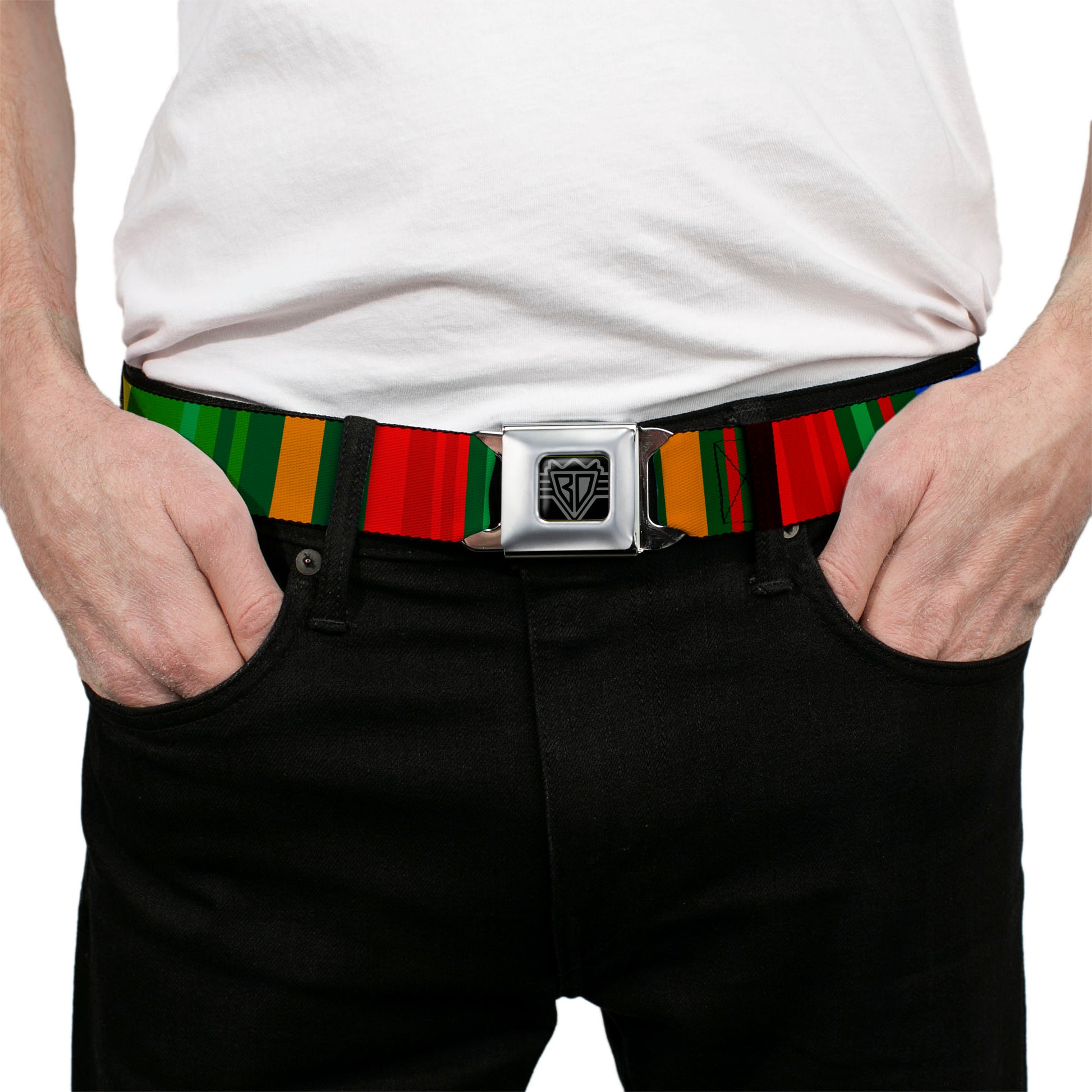 BD Wings Logo CLOSE-UP Black/Silver Seatbelt Belt - Zarape8 Vertical Multi Color Stripe Webbing Seatbelt Belts Buckle-Down