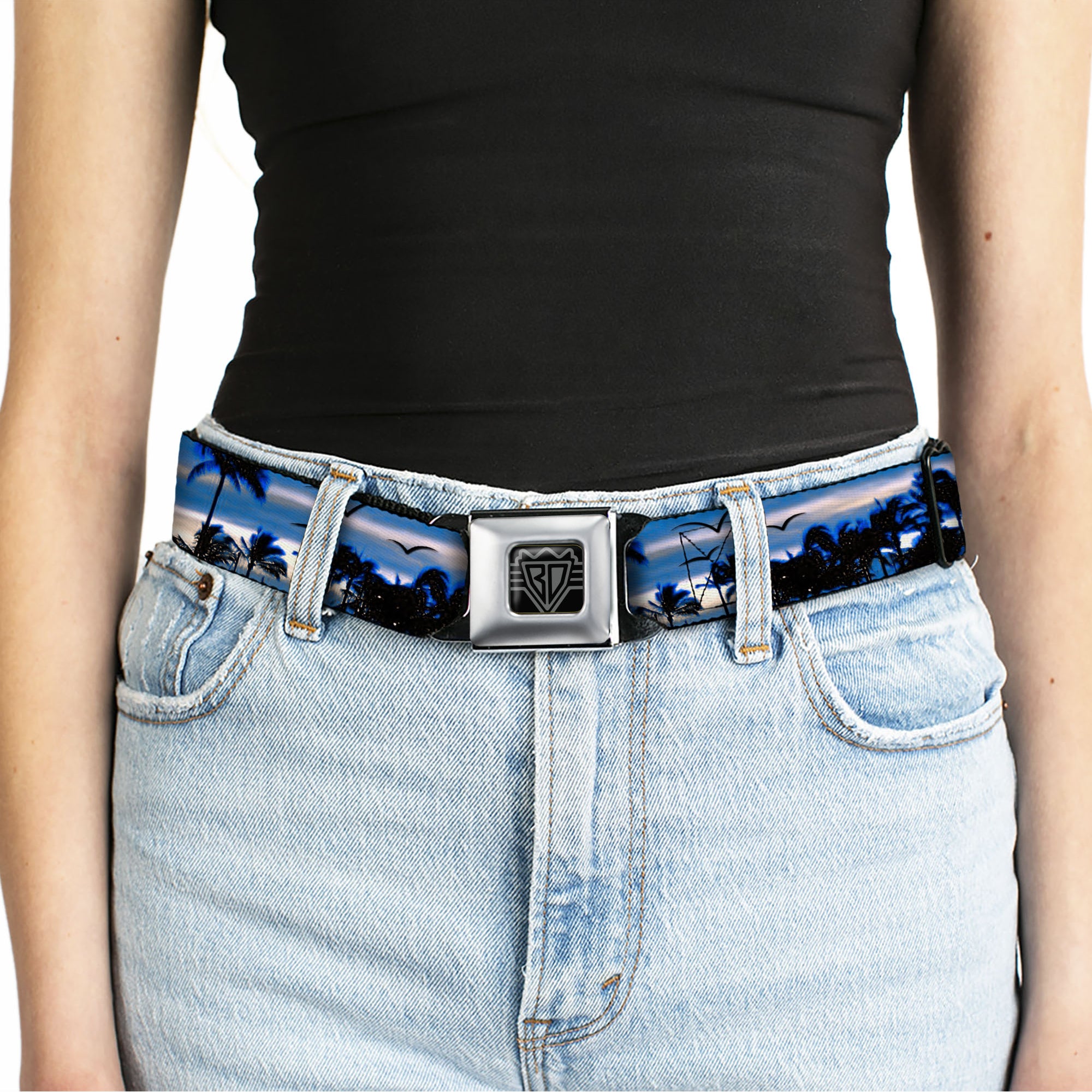 BD Wings Logo CLOSE-UP Full Color Black Silver Seatbelt Belt - Blue Sunset Webbing Seatbelt Belts Buckle-Down