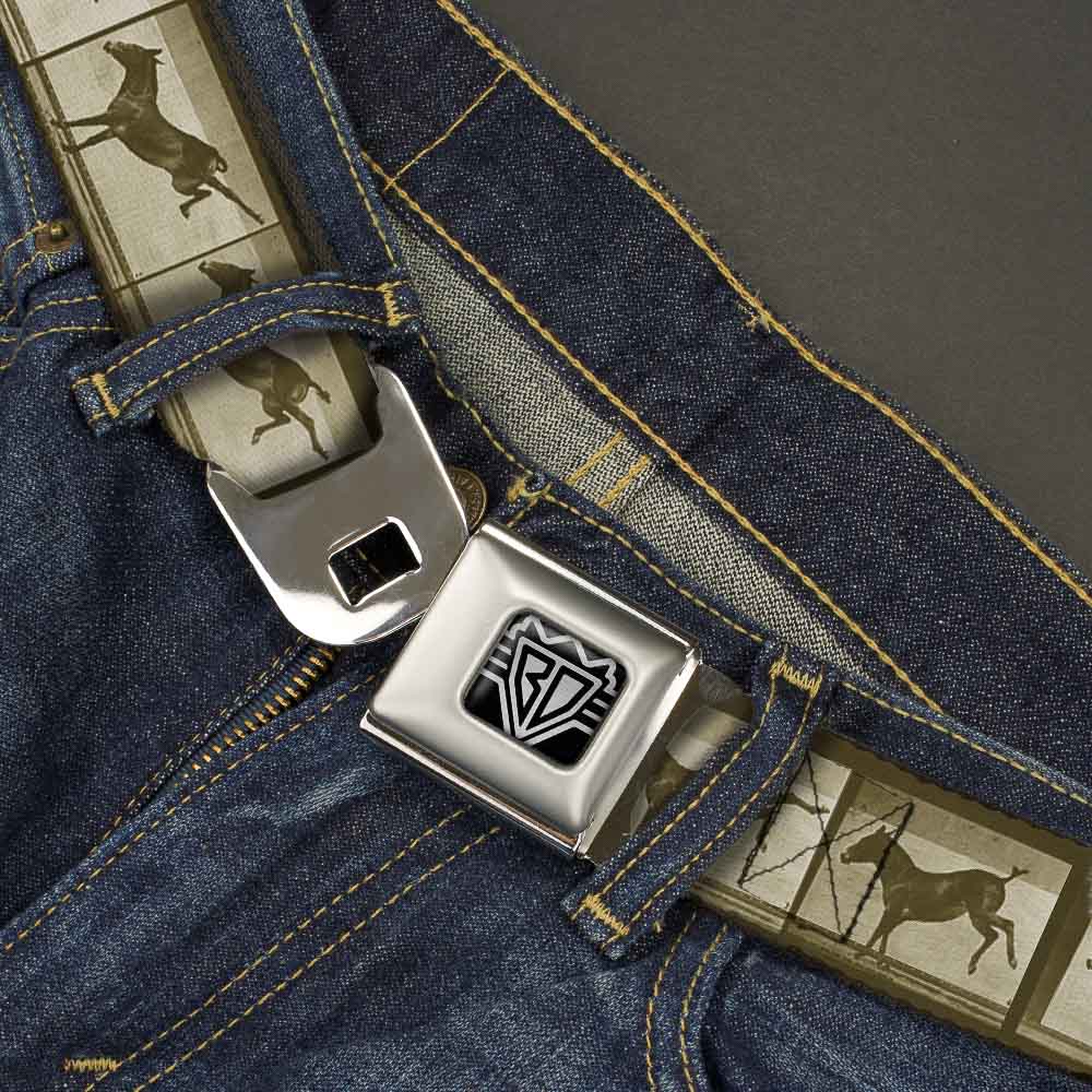 BD Wings Logo CLOSE-UP Full Color Black Silver Seatbelt Belt - Bucking Donkey Vintage Film Strip Webbing Seatbelt Belts Buckle-Down