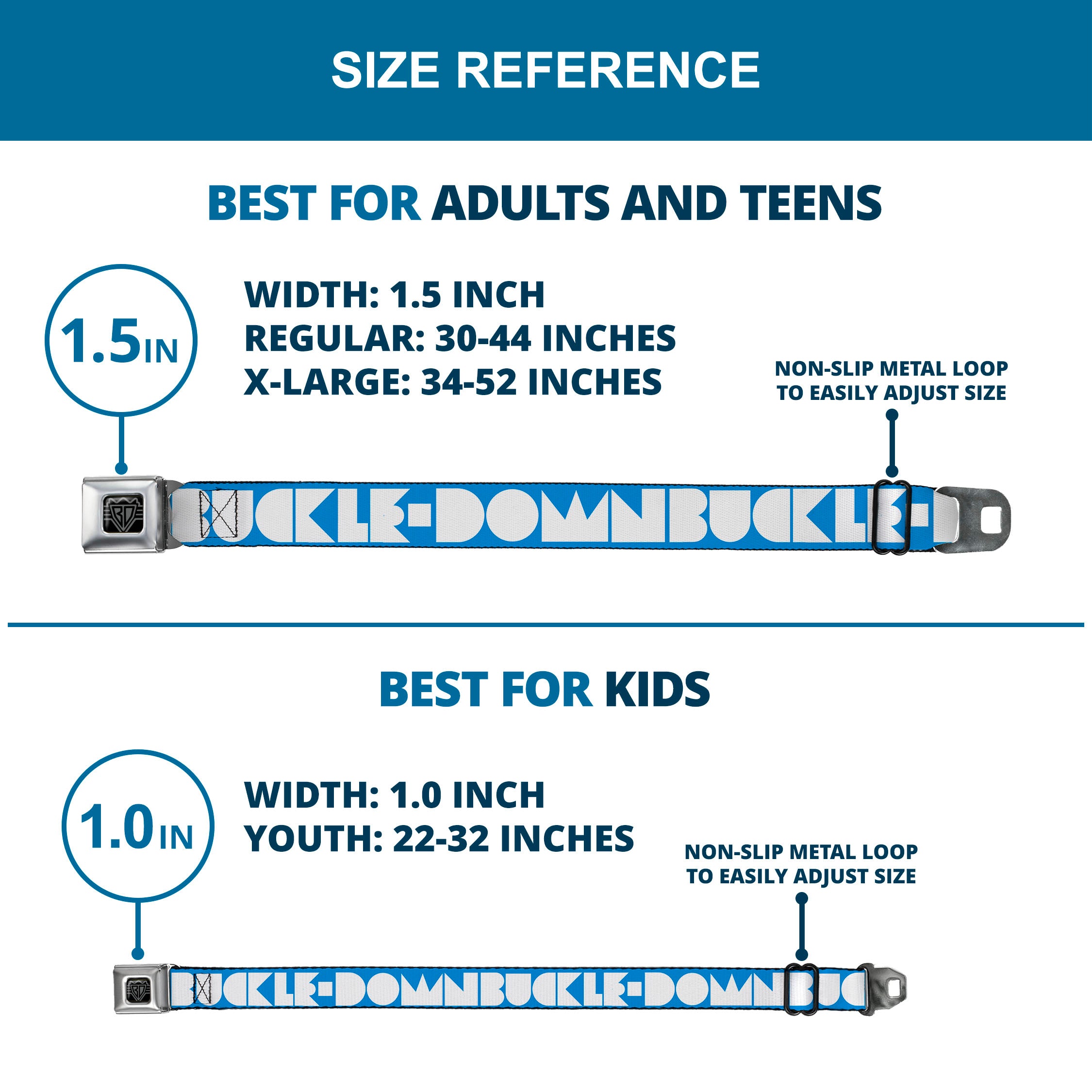 BD Wings Logo CLOSE-UP Full Color Black Silver Seatbelt Belt - BUCKLE-DOWN Shapes Turquoise/White Webbing Seatbelt Belts Buckle-Down