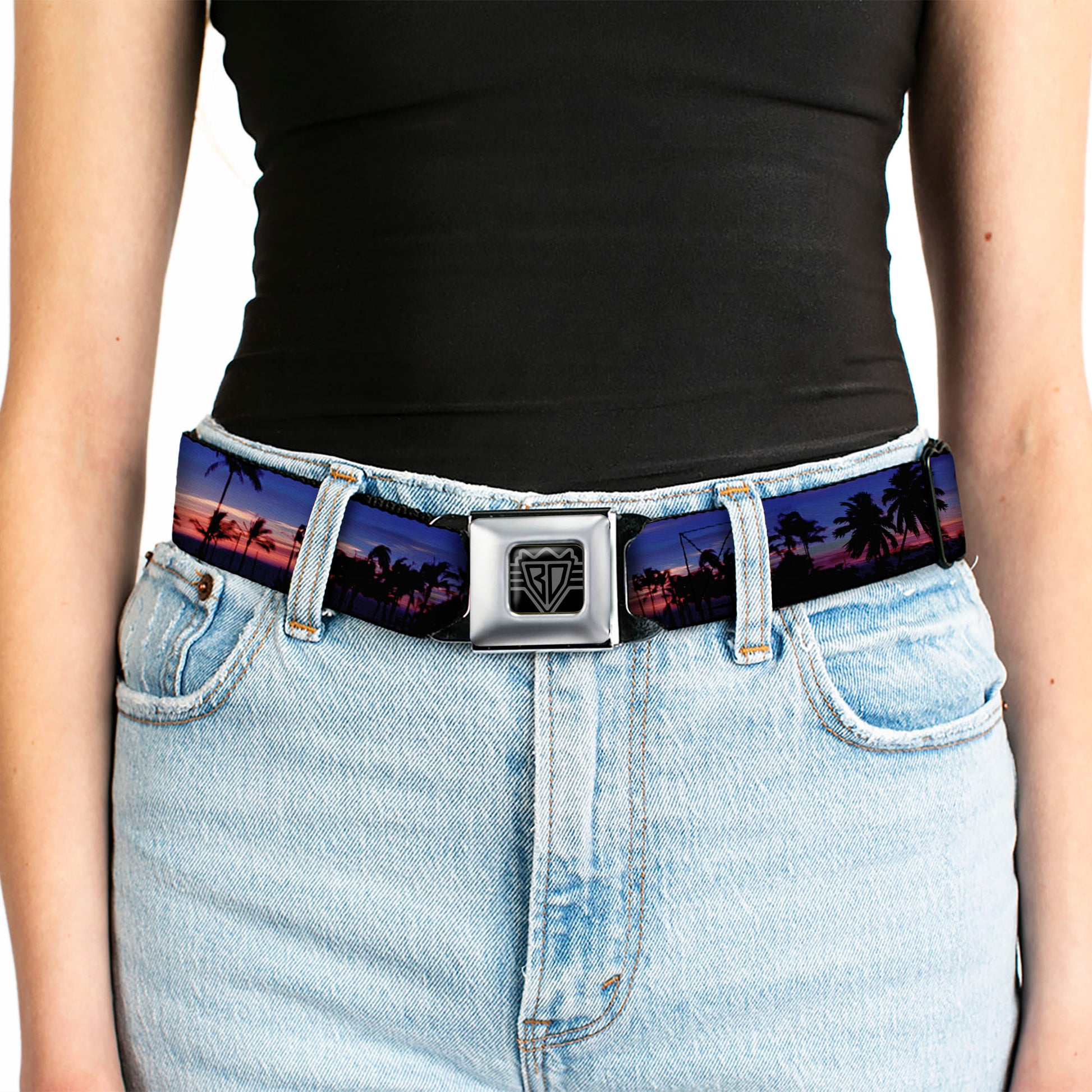 BD Wings Logo CLOSE-UP Full Color Black Silver Seatbelt Belt - California Sunset Webbing Seatbelt Belts Buckle-Down