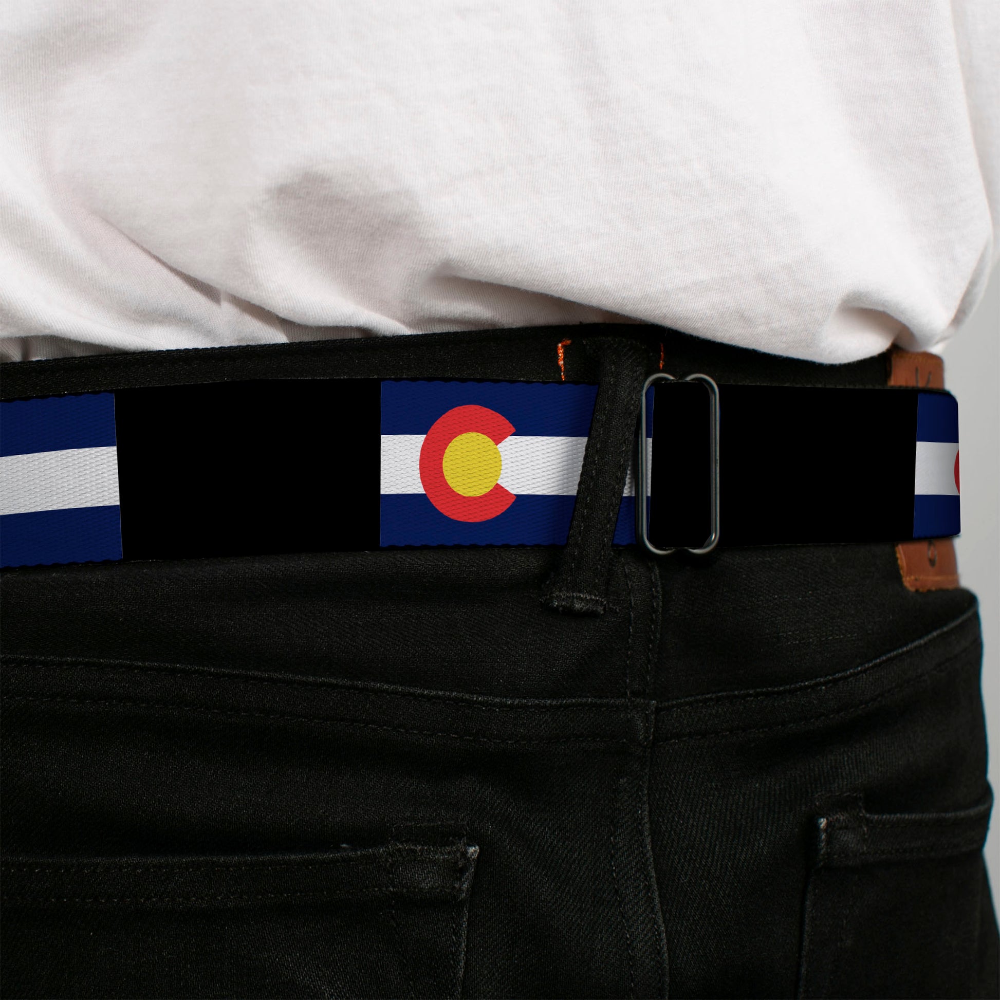 BD Wings Logo CLOSE-UP Full Color Black Silver Seatbelt Belt - Colorado Flags3/Black Webbing Seatbelt Belts Buckle-Down