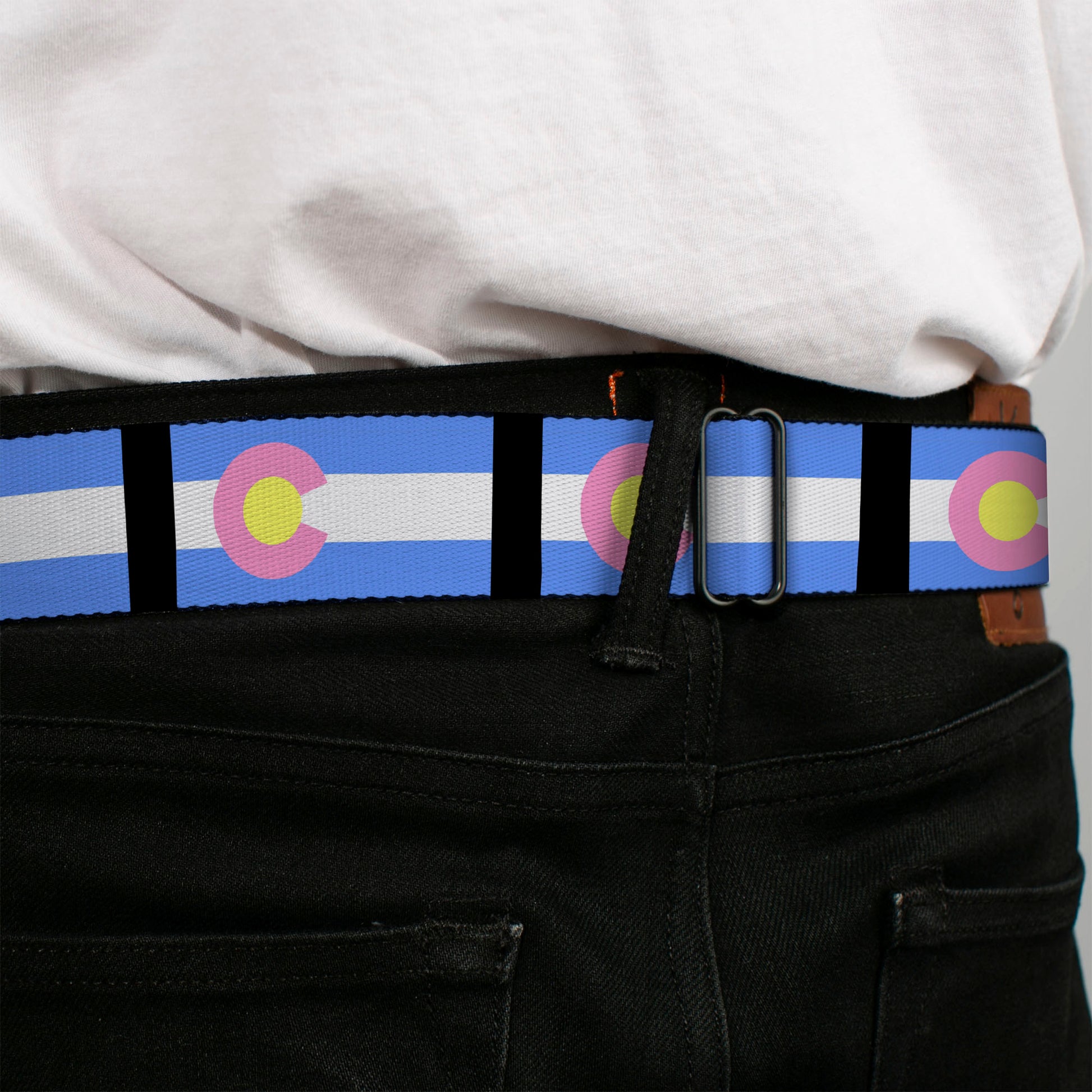 BD Wings Logo CLOSE-UP Full Color Black Silver Seatbelt Belt - Colorado Flags Pastel Webbing Seatbelt Belts Buckle-Down