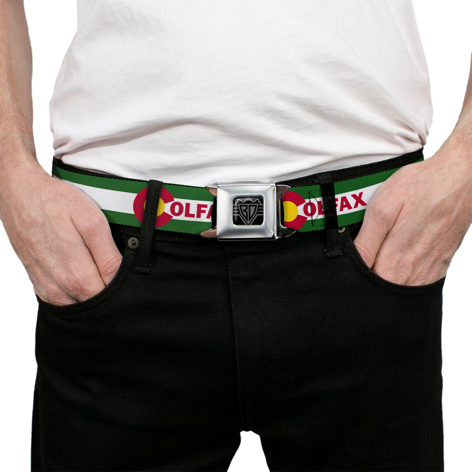 BD Wings Logo CLOSE-UP Full Color Black Silver Seatbelt Belt - COLFAX Green Stripe Webbing Seatbelt Belts Buckle-Down