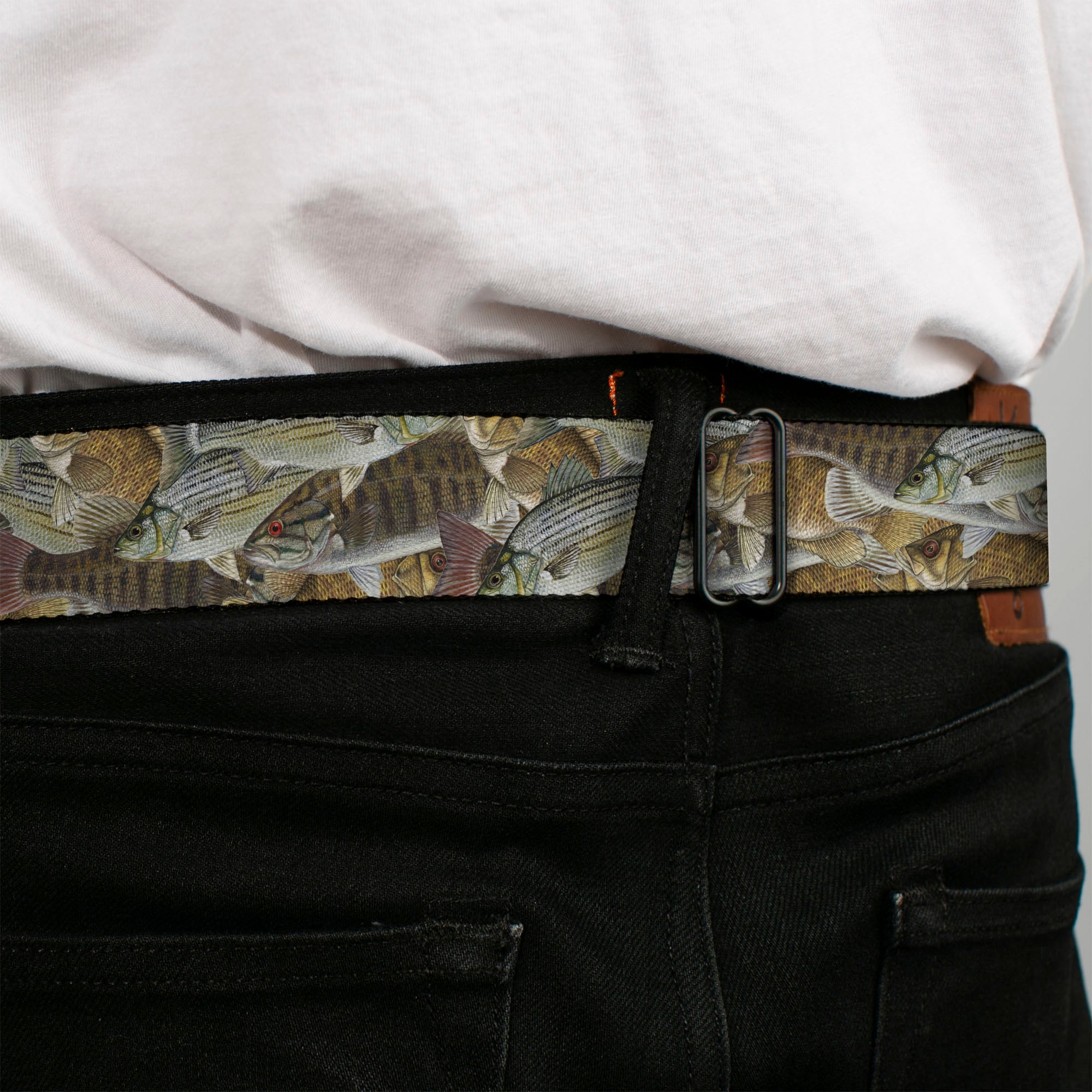 BD Wings Logo CLOSE-UP Full Color Black Silver Seatbelt Belt - Fishes Stacked Webbing Seatbelt Belts Buckle-Down