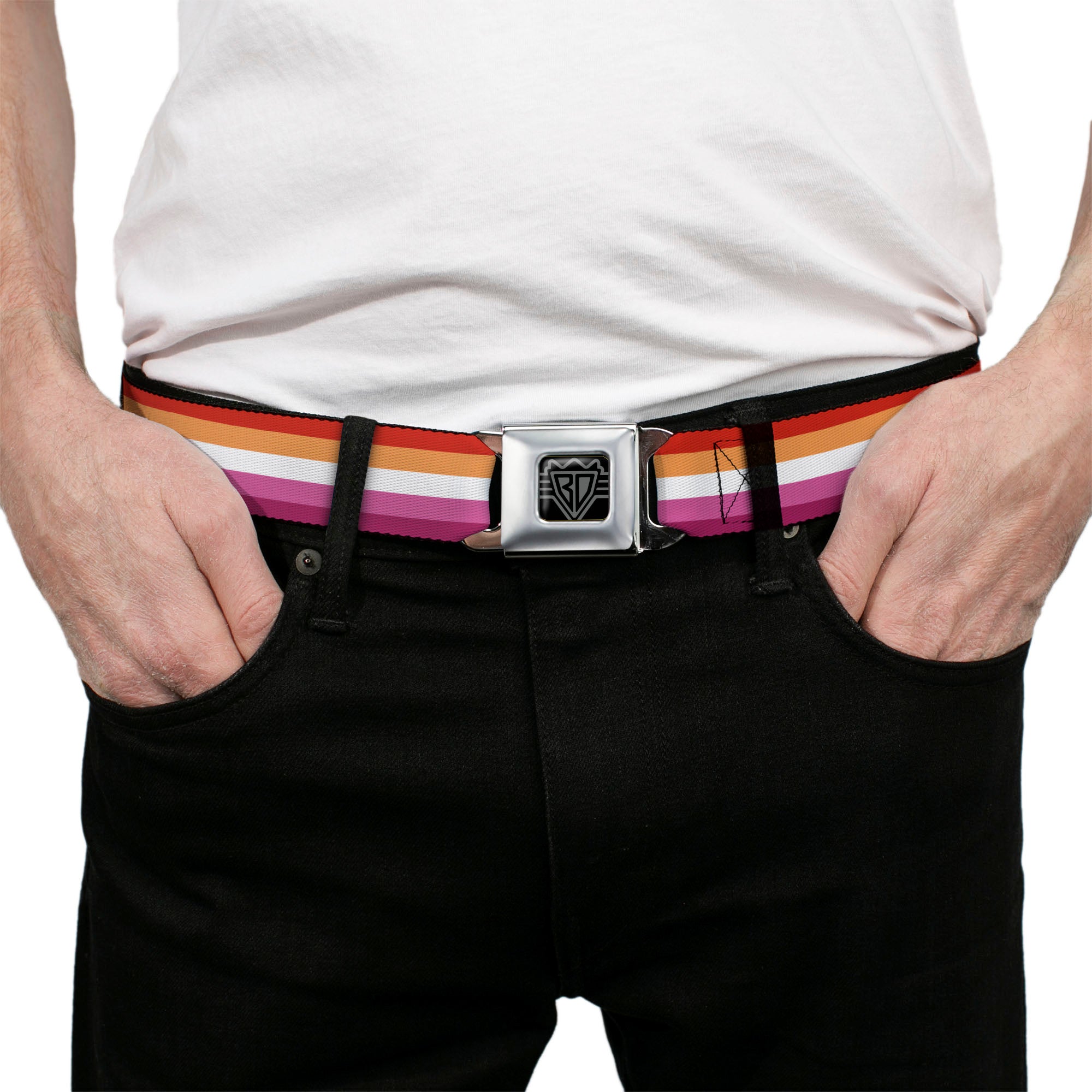 BD Wings Logo CLOSE-UP Black/Silver Seatbelt Belt - Flag Lesbian Five Stripe Oranges/White/Pinks Webbing Seatbelt Belts Buckle-Down