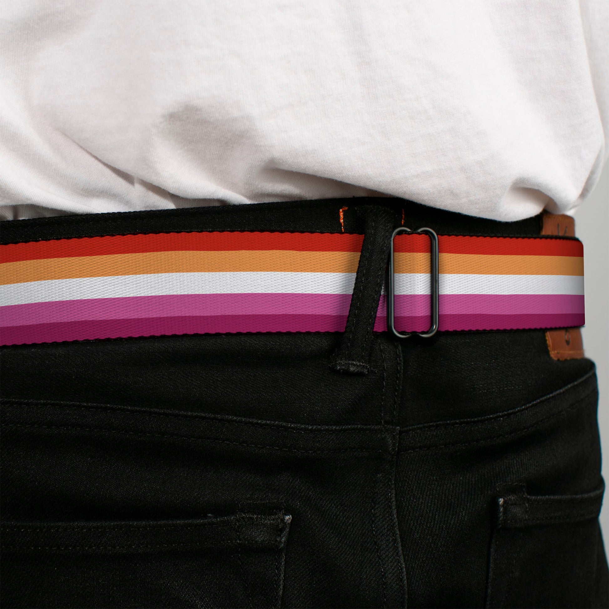 BD Wings Logo CLOSE-UP Black/Silver Seatbelt Belt - Flag Lesbian Five Stripe Oranges/White/Pinks Webbing Seatbelt Belts Buckle-Down