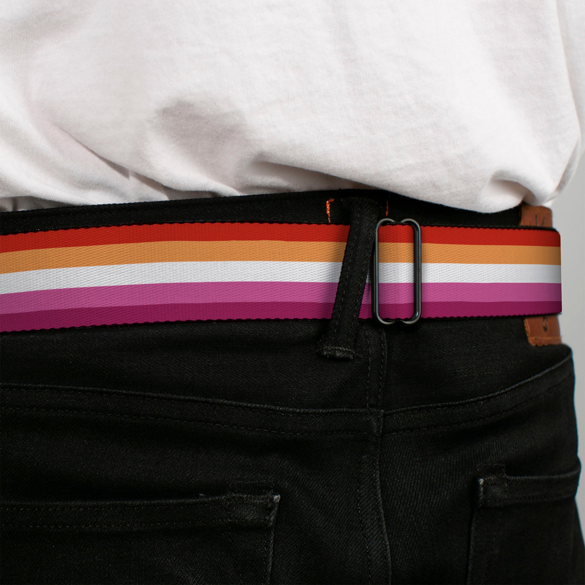 BD Wings Logo CLOSE-UP Black/Silver Seatbelt Belt - Flag Lesbian Five Stripe Oranges/White/Pinks Webbing Seatbelt Belts Buckle-Down