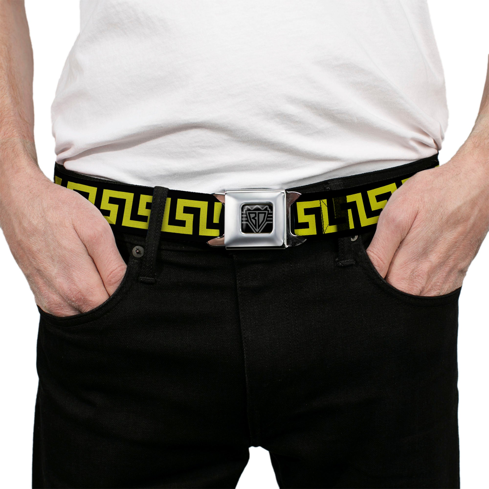 BD Wings Logo CLOSE-UP Full Color Black Silver Seatbelt Belt - Greek Key Black/Olive Webbing Seatbelt Belts Buckle-Down