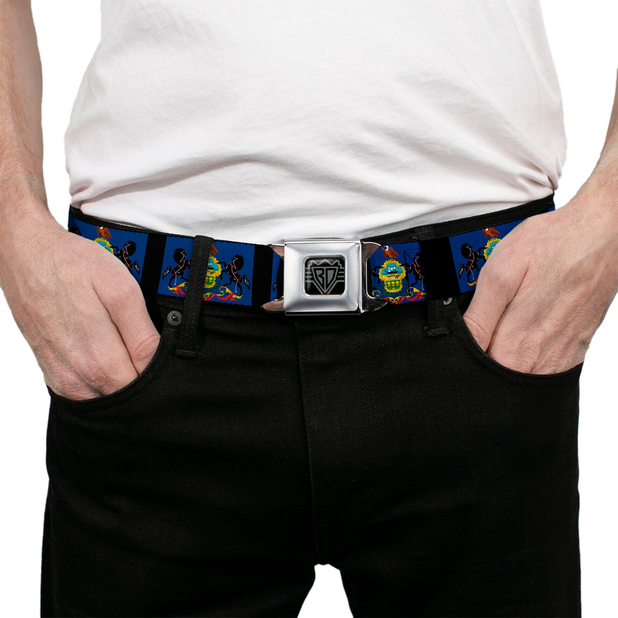 BD Wings Logo CLOSE-UP Full Color Black Silver Seatbelt Belt - Pennsylvania Flags/Black Webbing Seatbelt Belts Buckle-Down