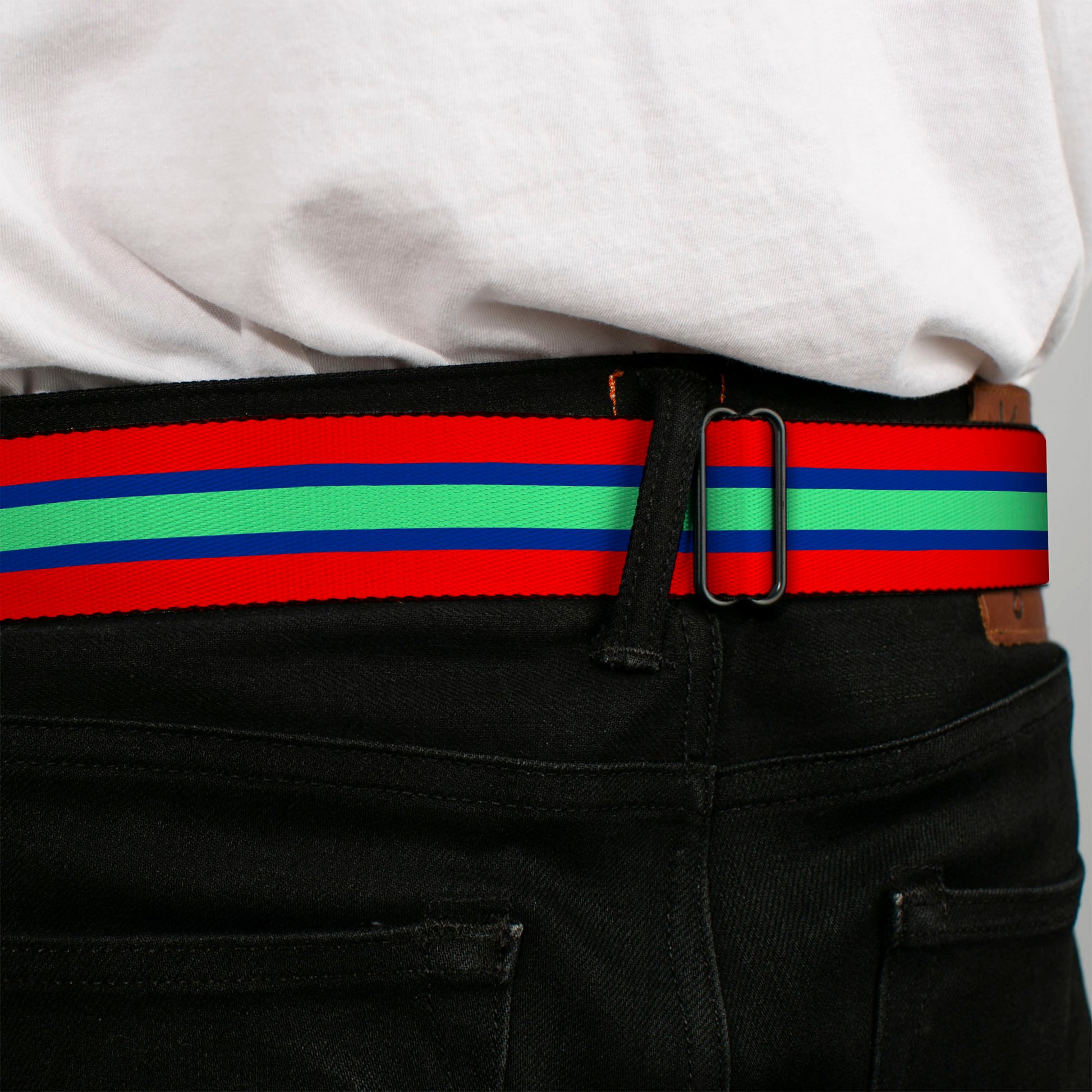 BD Wings Logo CLOSE-UP Full Color Black Silver Seatbelt Belt - Stripes Red/Blue/Green Webbing Seatbelt Belts Buckle-Down