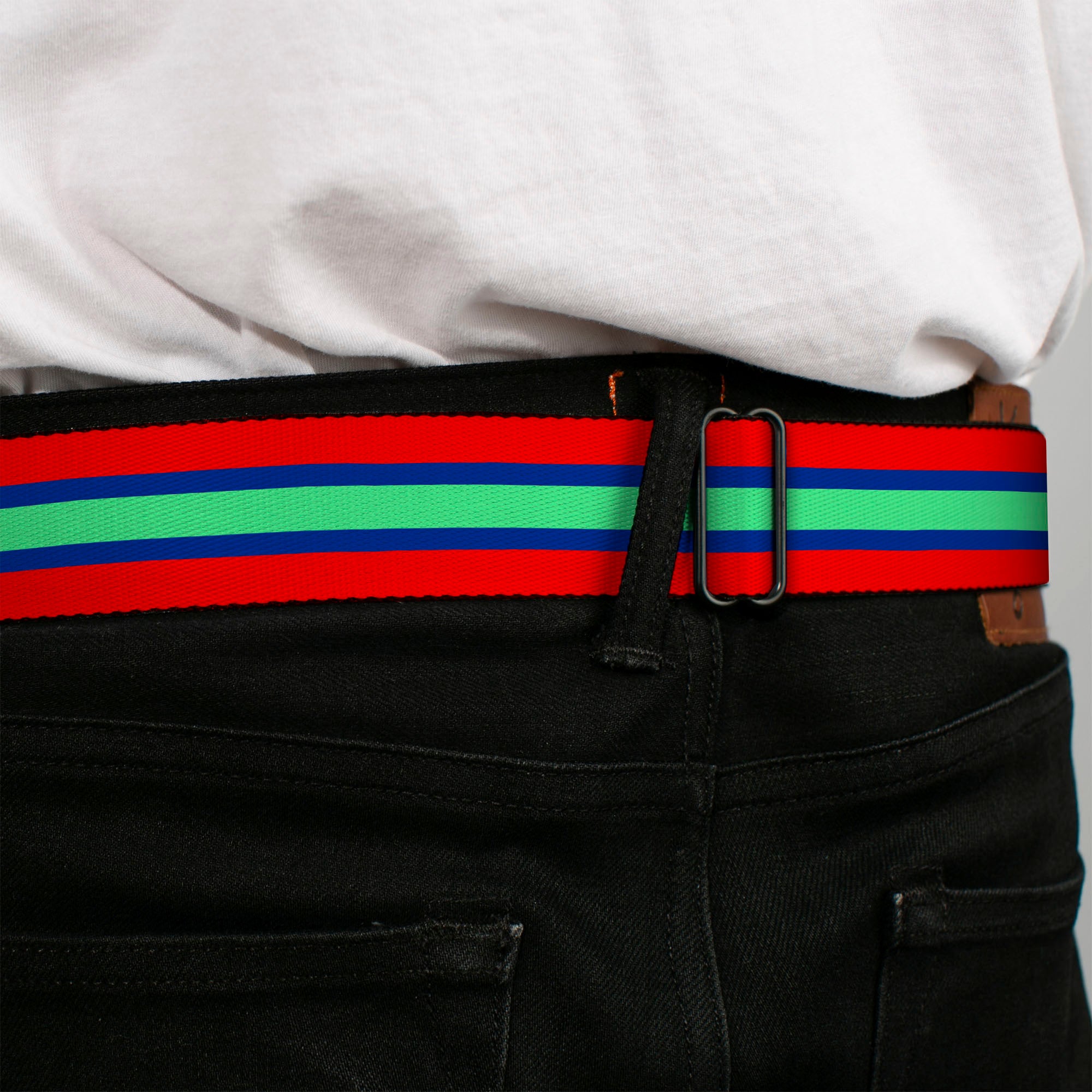 BD Wings Logo CLOSE-UP Full Color Black Silver Seatbelt Belt - Stripes Red/Blue/Green Webbing Seatbelt Belts Buckle-Down