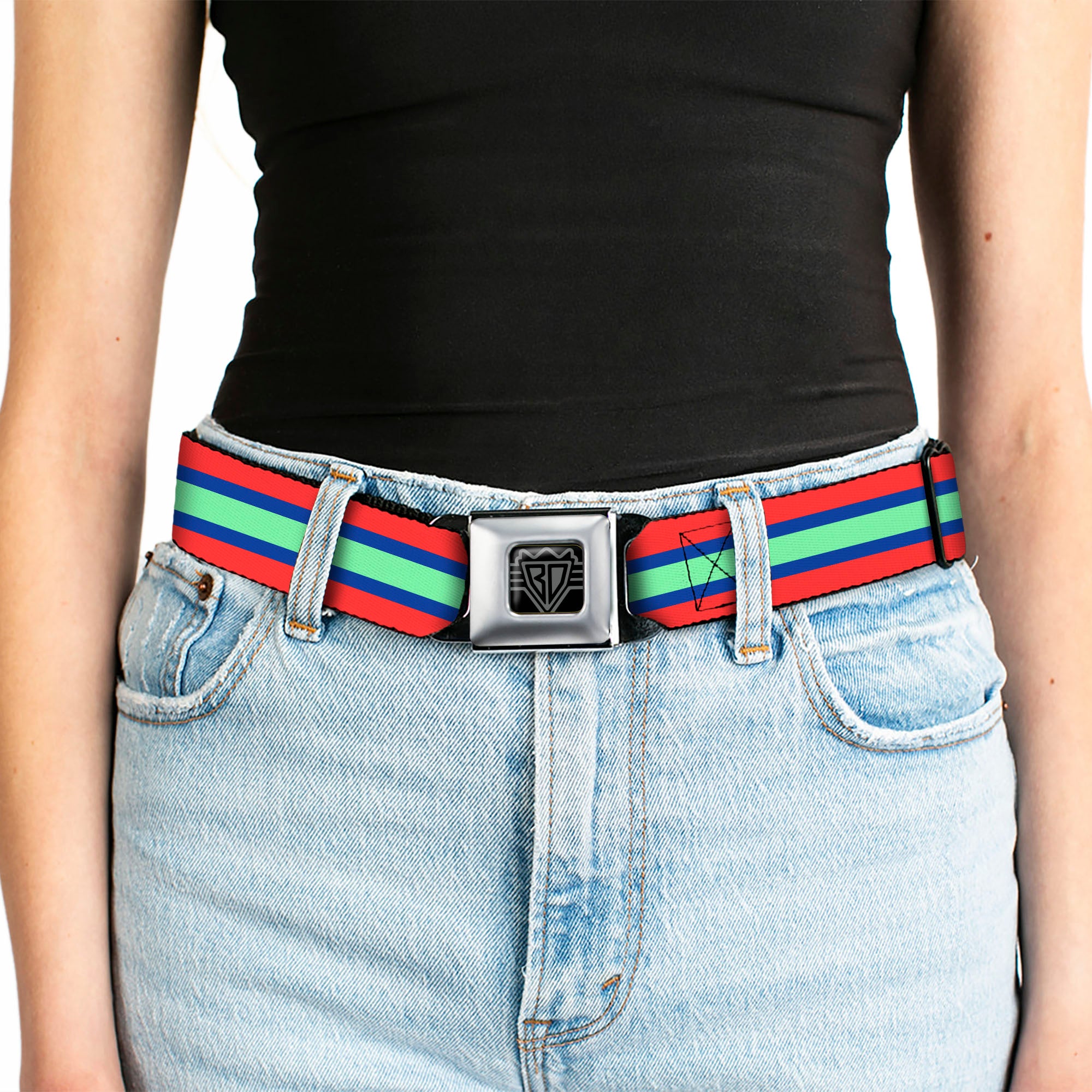 BD Wings Logo CLOSE-UP Full Color Black Silver Seatbelt Belt - Stripes Red/Blue/Green Webbing Seatbelt Belts Buckle-Down