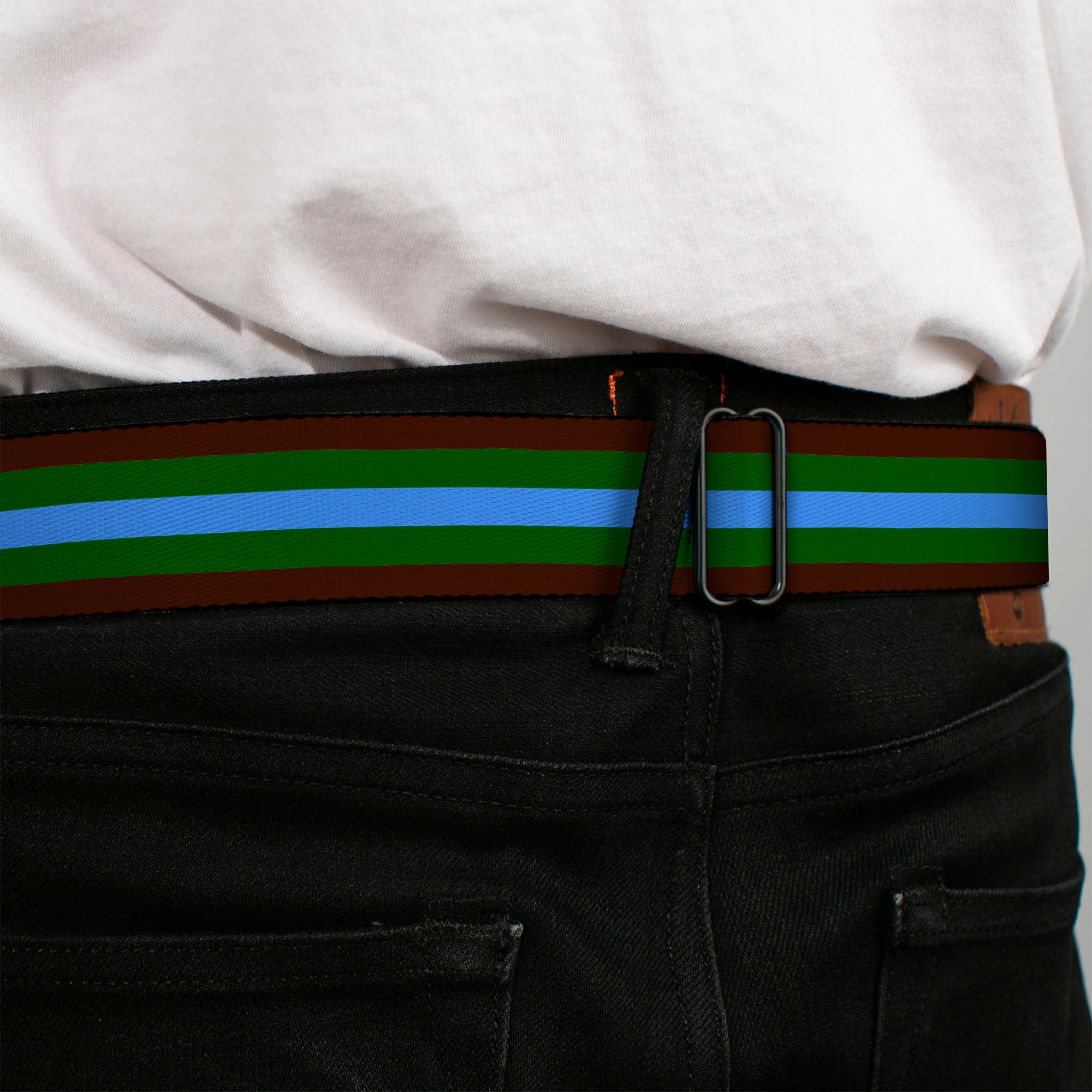 BD Wings Logo CLOSE-UP Full Color Black Silver Seatbelt Belt - Stripes Brown/Green/Baby Blue Webbing Seatbelt Belts Buckle-Down