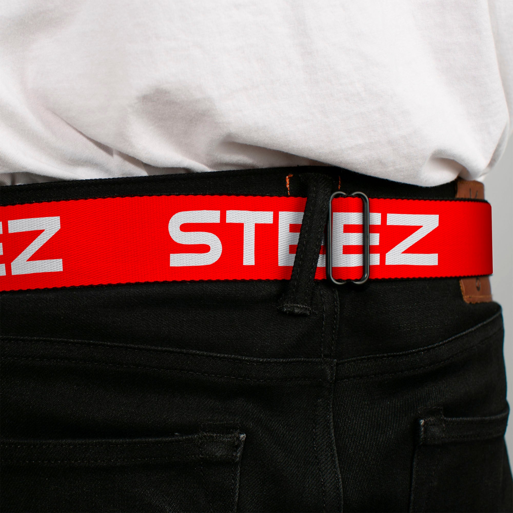 BD Wings Logo CLOSE-UP Full Color Black Silver Seatbelt Belt - STEEZ Flat Red/White Webbing Seatbelt Belts Buckle-Down