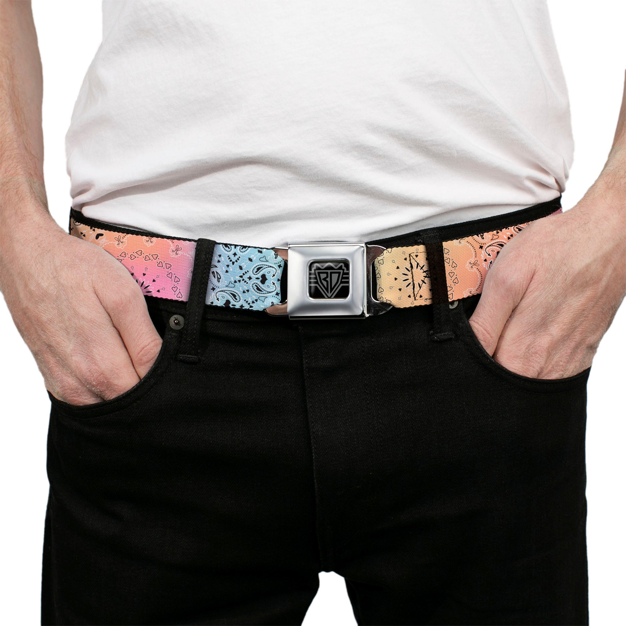 BD Wings Logo CLOSE-UP Black/Silver Seatbelt Belt - Bandana Paisley Ombre Pastel/Black Webbing Seatbelt Belts Buckle-Down