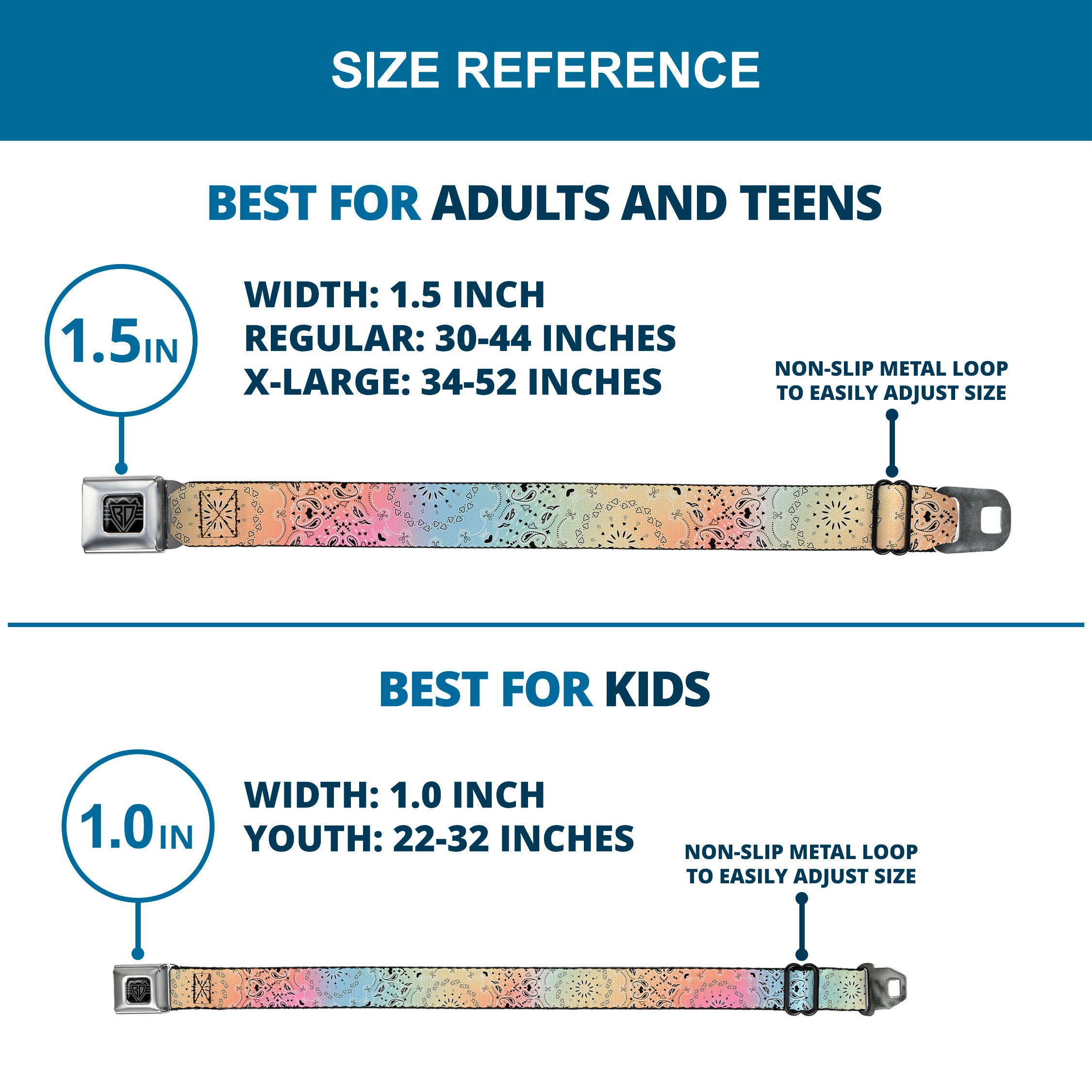 BD Wings Logo CLOSE-UP Black/Silver Seatbelt Belt - Bandana Paisley Ombre Pastel/Black Webbing Seatbelt Belts Buckle-Down