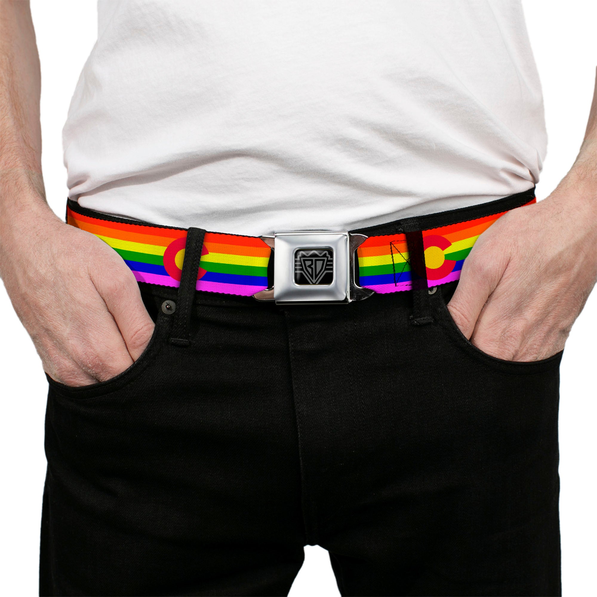 BD Wings Logo CLOSE-UP Full Color Black Silver Seatbelt Belt - Colorado Flags2 Pride Webbing Seatbelt Belts Buckle-Down