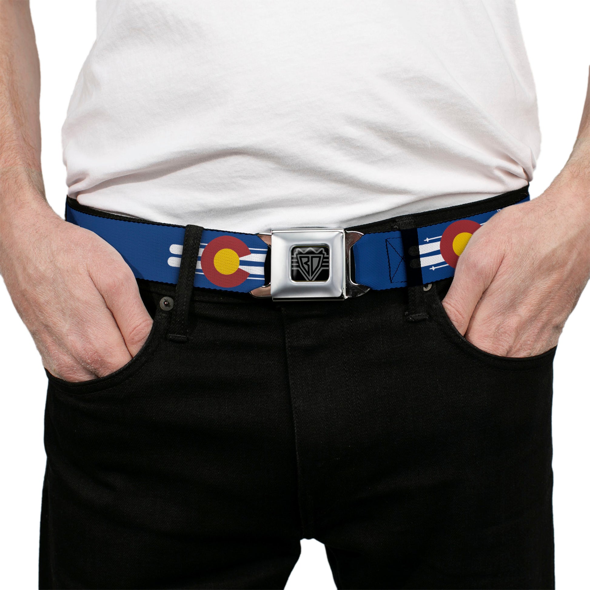 BD Wings Logo CLOSE-UP Black/Silver Seatbelt Belt - Colorado Logo/Skis Blue/White/Red/Yellow Webbing Seatbelt Belts Buckle-Down