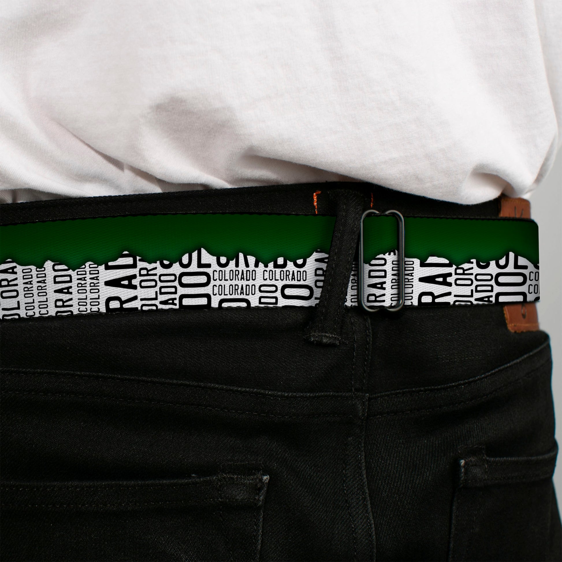 BD Wings Logo CLOSE-UP Black/Silver Seatbelt Belt - Colorado Mountains Green/White/Black Text Webbing Seatbelt Belts Buckle-Down