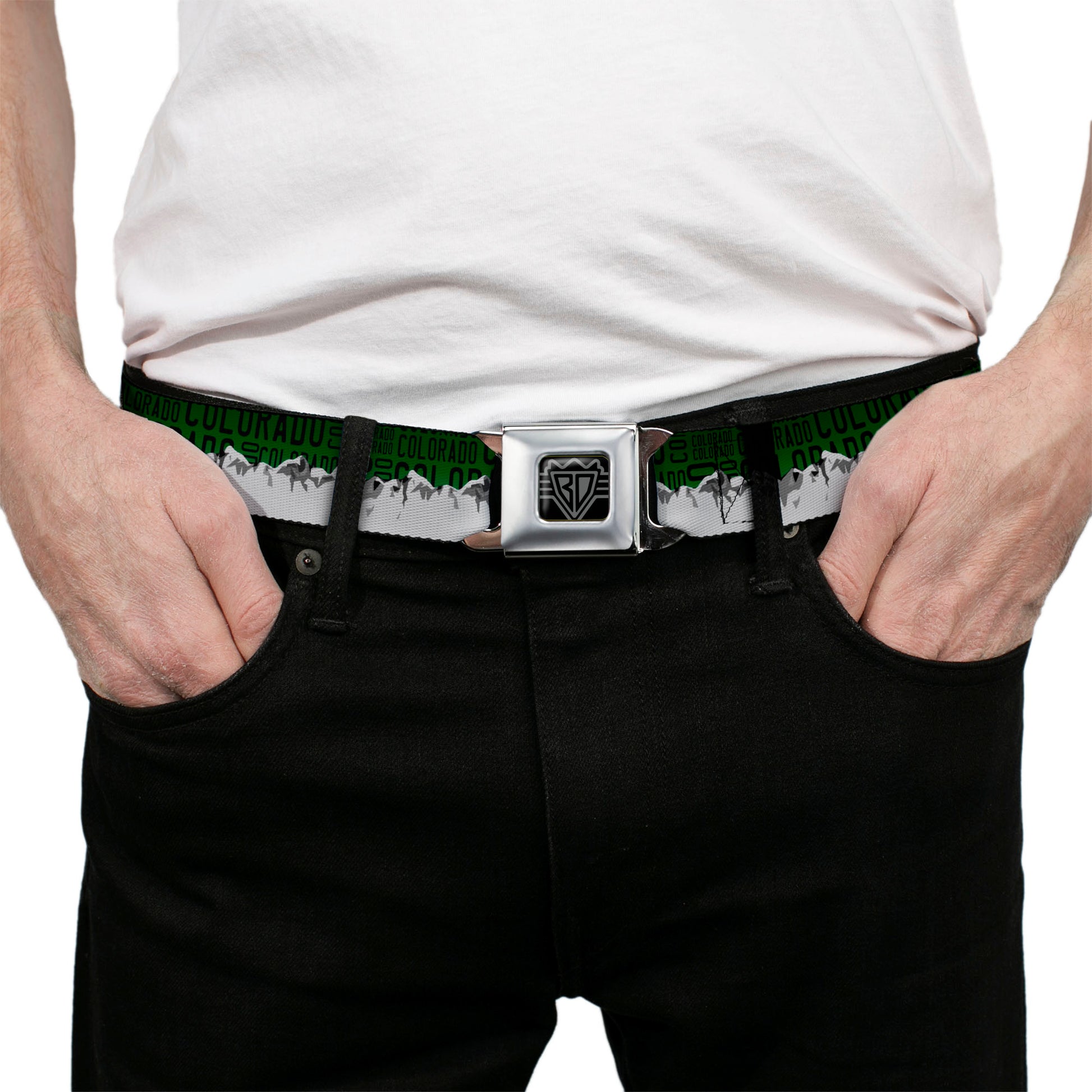 BD Wings Logo CLOSE-UP Full Color Black Silver Seatbelt Belt - Colorado Mountains Green/Black Text/Grays Webbing Seatbelt Belts Buckle-Down
